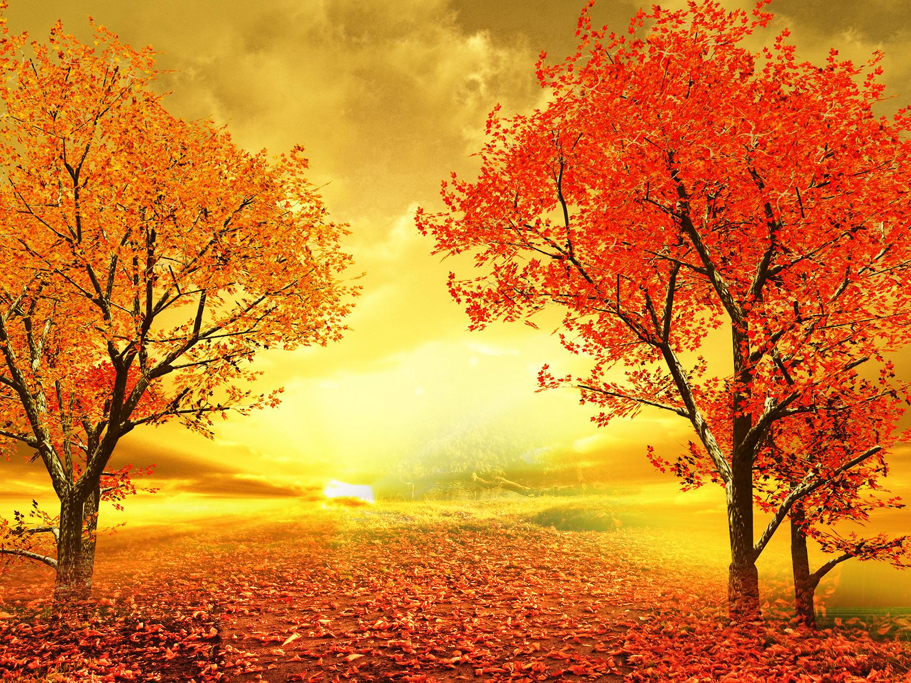 Download mobile wallpaper Sunset, Tree, Leaf, Fall, Painting, Artistic for free.