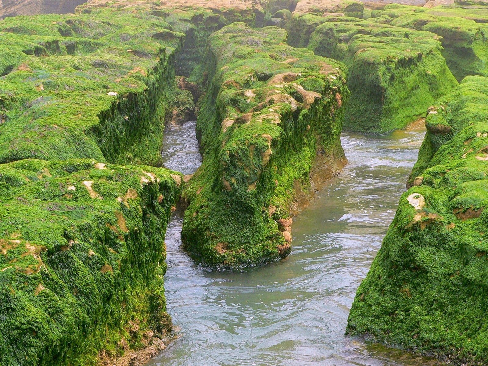 Download mobile wallpaper Rocks, Moss, Greens, Rivers, Nature, Water for free.