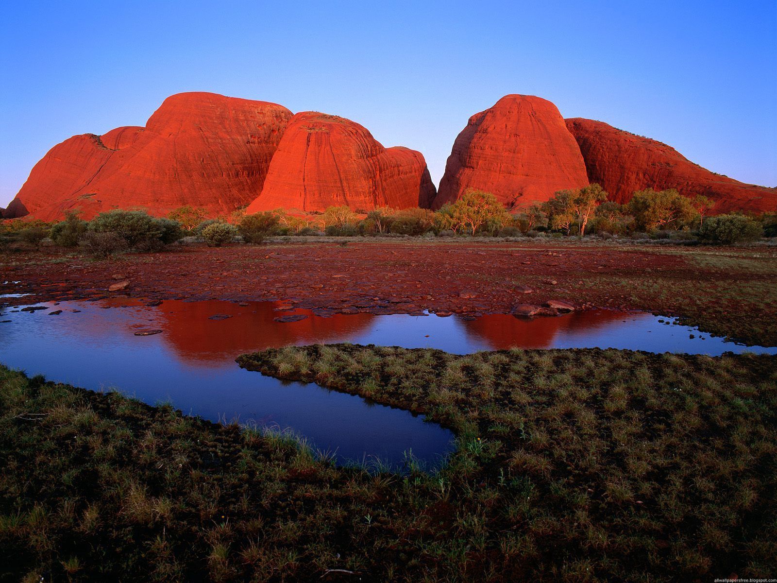 australia, nature, water, grass, land, earth, canyons Full HD