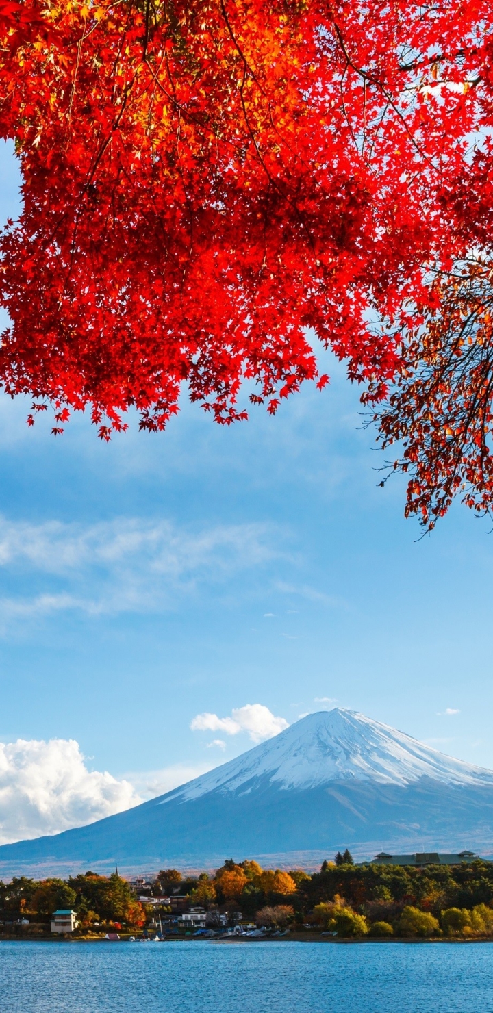 Скачать картинку Осень, Япония, Вулкан, Падать, Гора Фудзи, Вулканы, Земля/природа в телефон бесплатно.