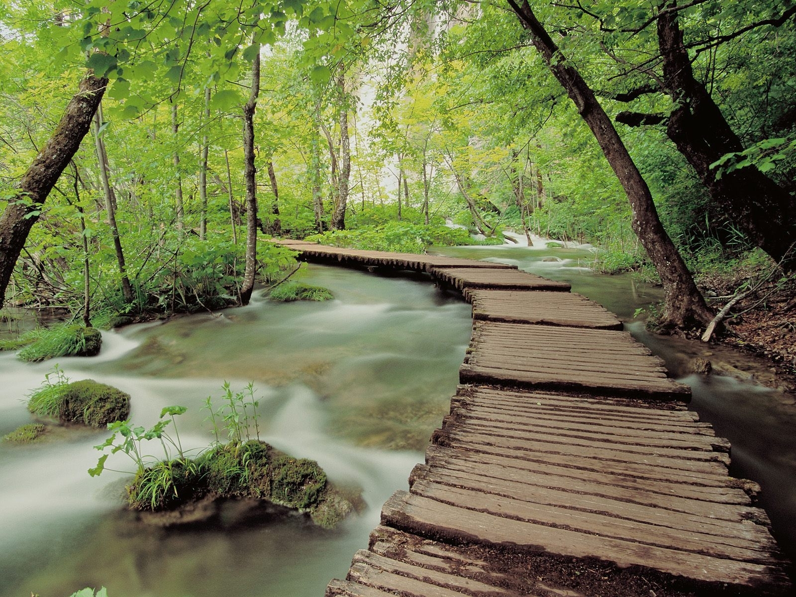 Скачать обои бесплатно Река, Деревья, Природа, Пейзаж, Мосты картинка на рабочий стол ПК