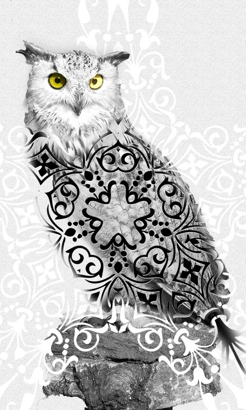 Download mobile wallpaper Owl, Bird, Pattern, Animal, Artistic for free.