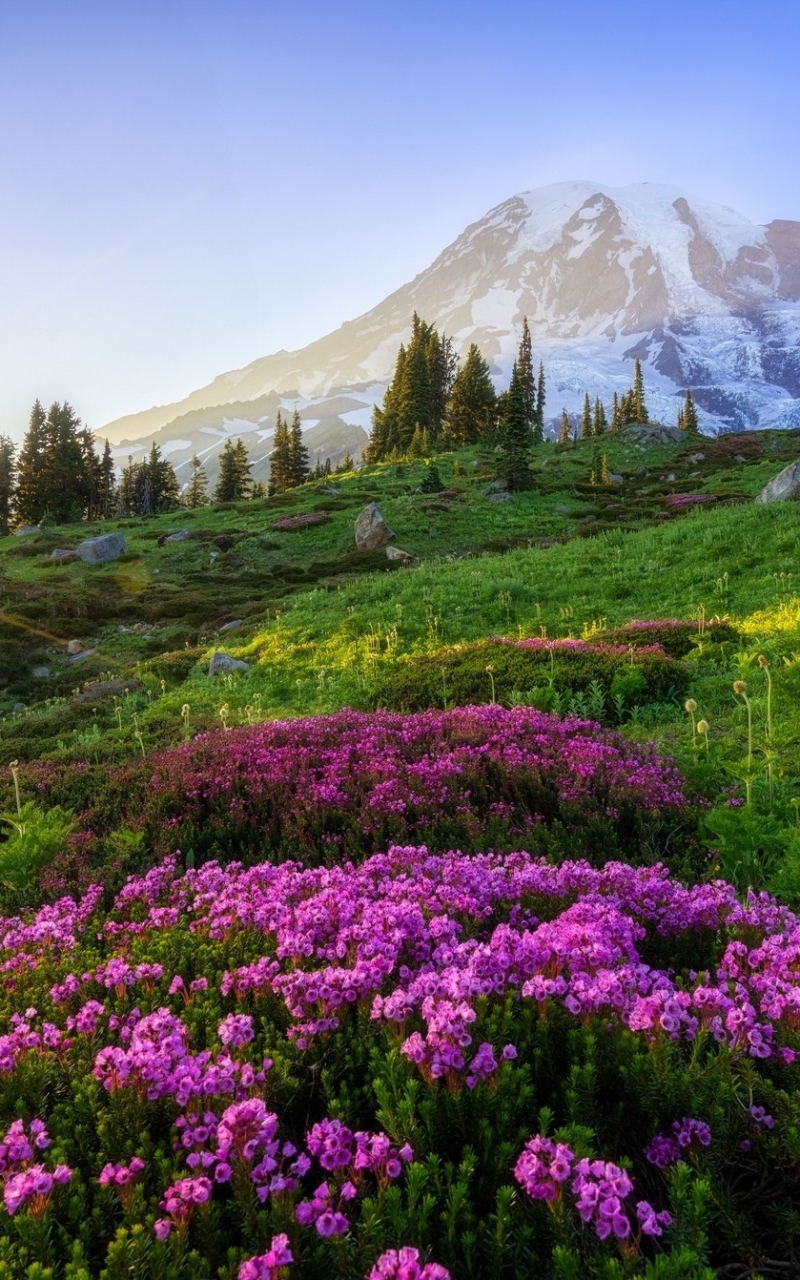 Descarga gratuita de fondo de pantalla para móvil de Amanecer, Tierra/naturaleza.