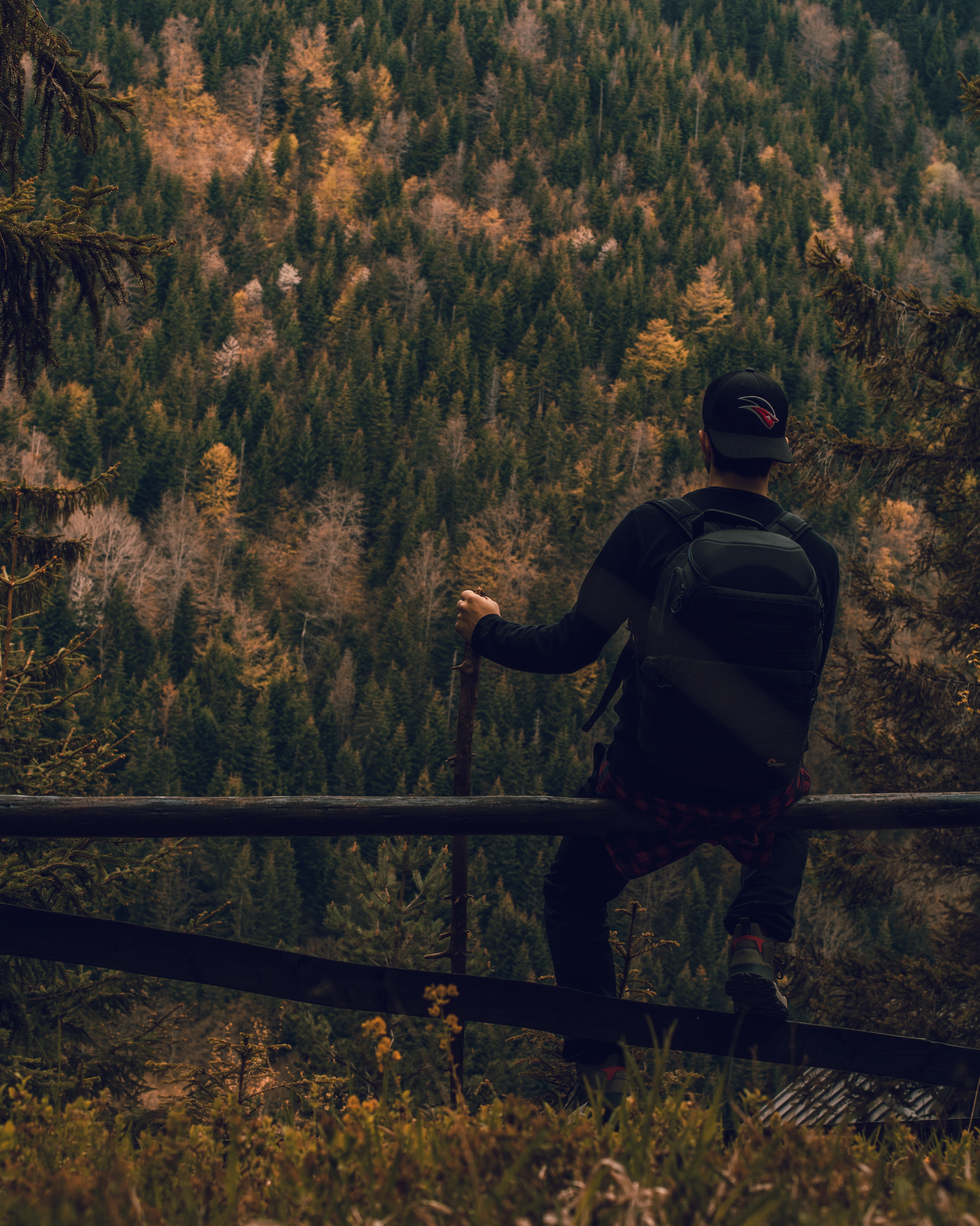 person, campaign, nature, miscellanea, miscellaneous, forest, human, backpack, rucksack, hike