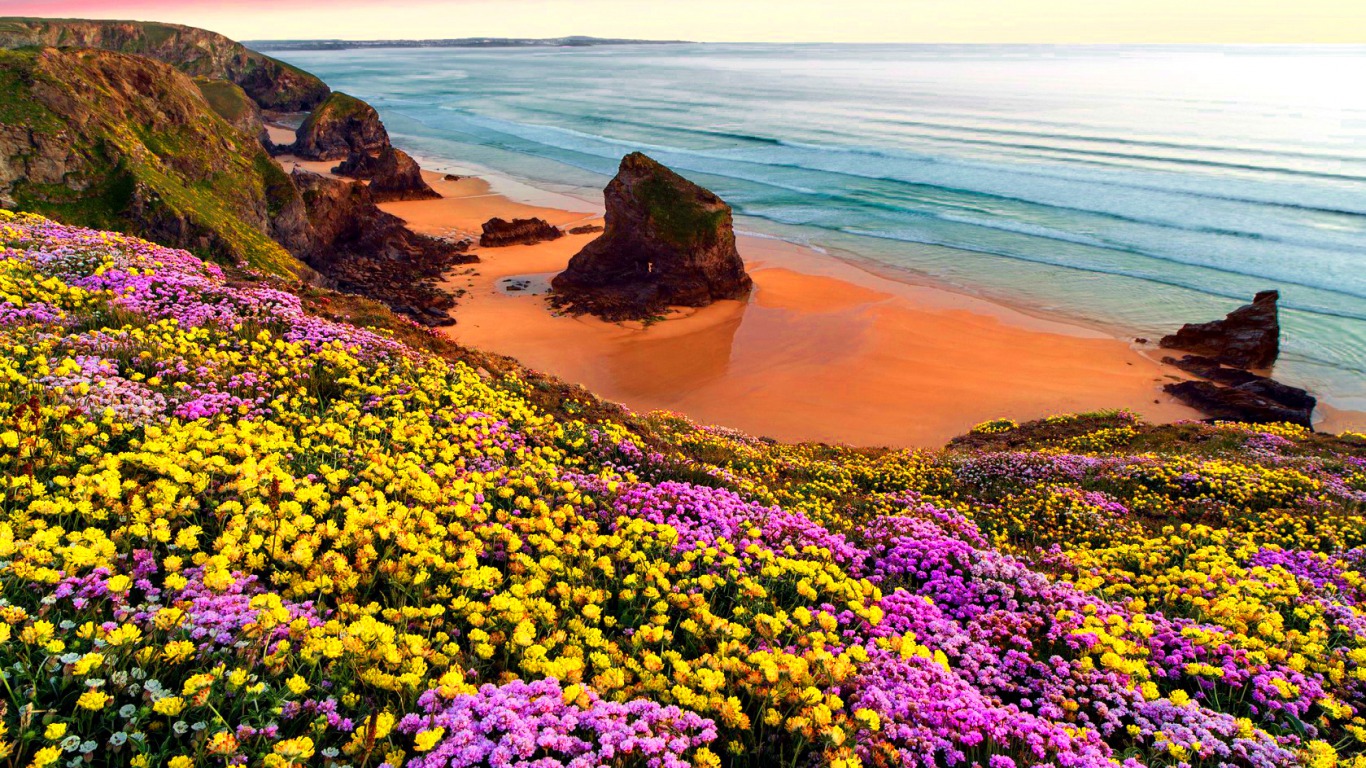 Скачать обои бесплатно Пляж, Цветок, Океан, Береговая Линия, Земля/природа картинка на рабочий стол ПК