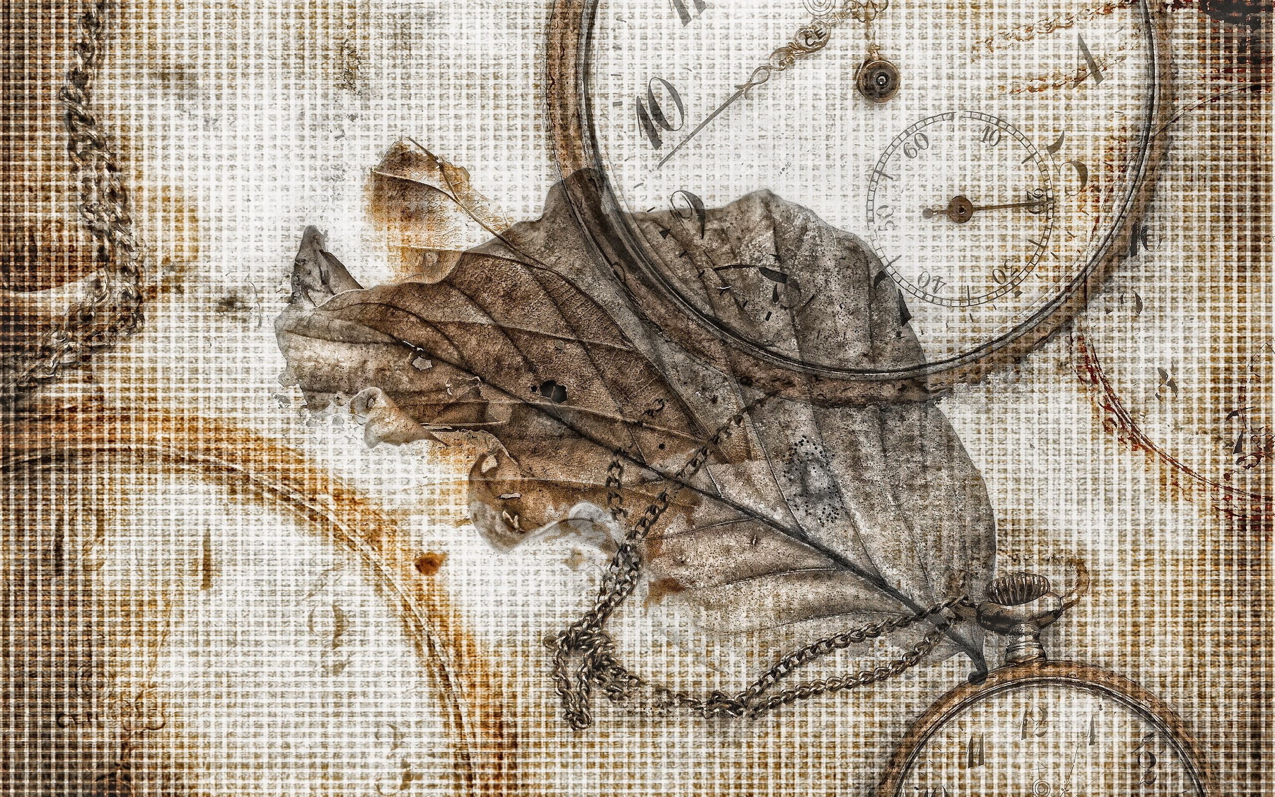 Download mobile wallpaper Miscellaneous, Miscellanea, Sheet, Leaf, Background, Clock for free.