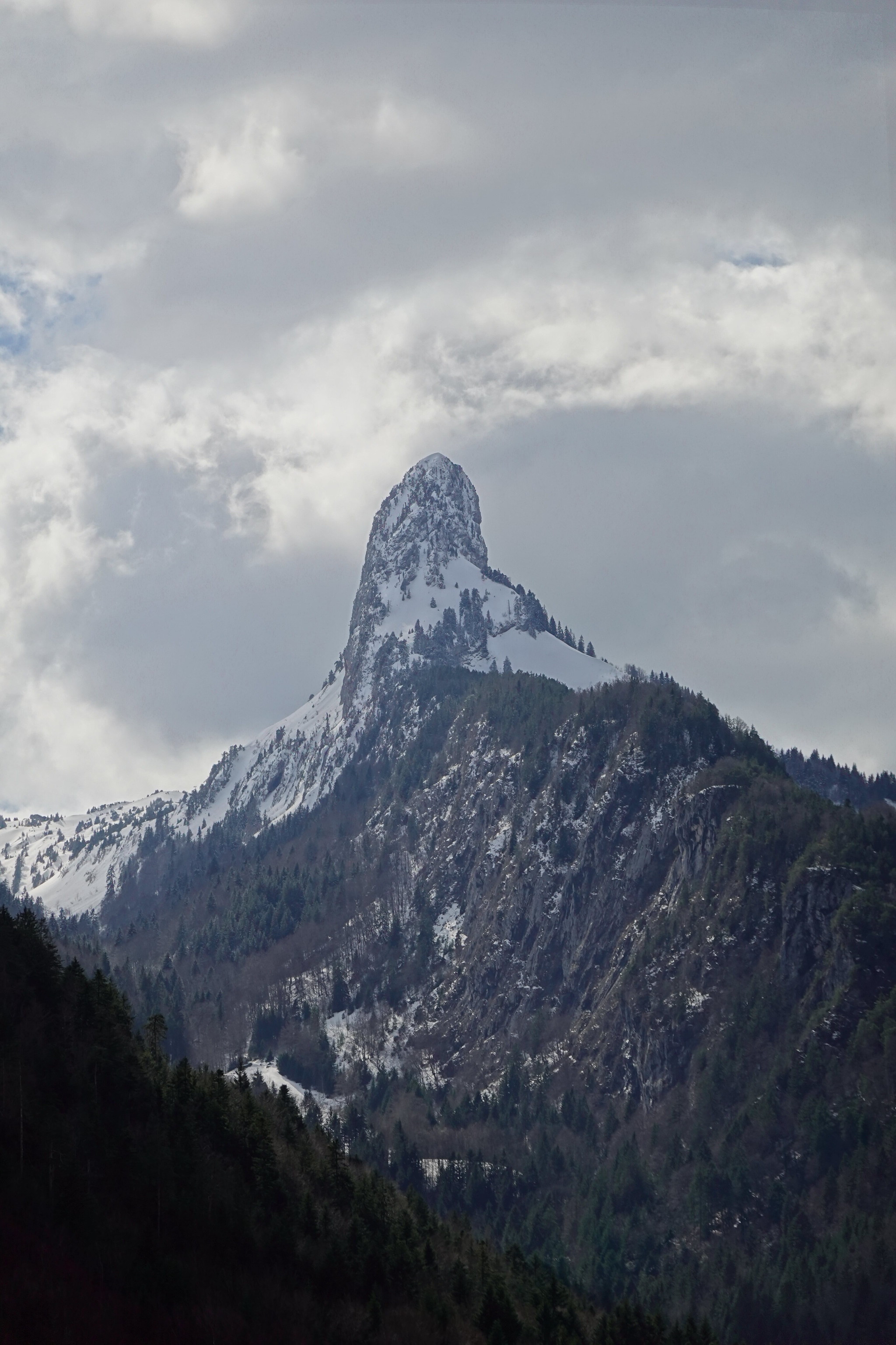 Descarga gratis la imagen Naturaleza, Árboles, Nieve, Rocas, Nevado, Cubierto De Nieve, Cuesta, Pendiente, Montañas, Las Rocas en el escritorio de tu PC