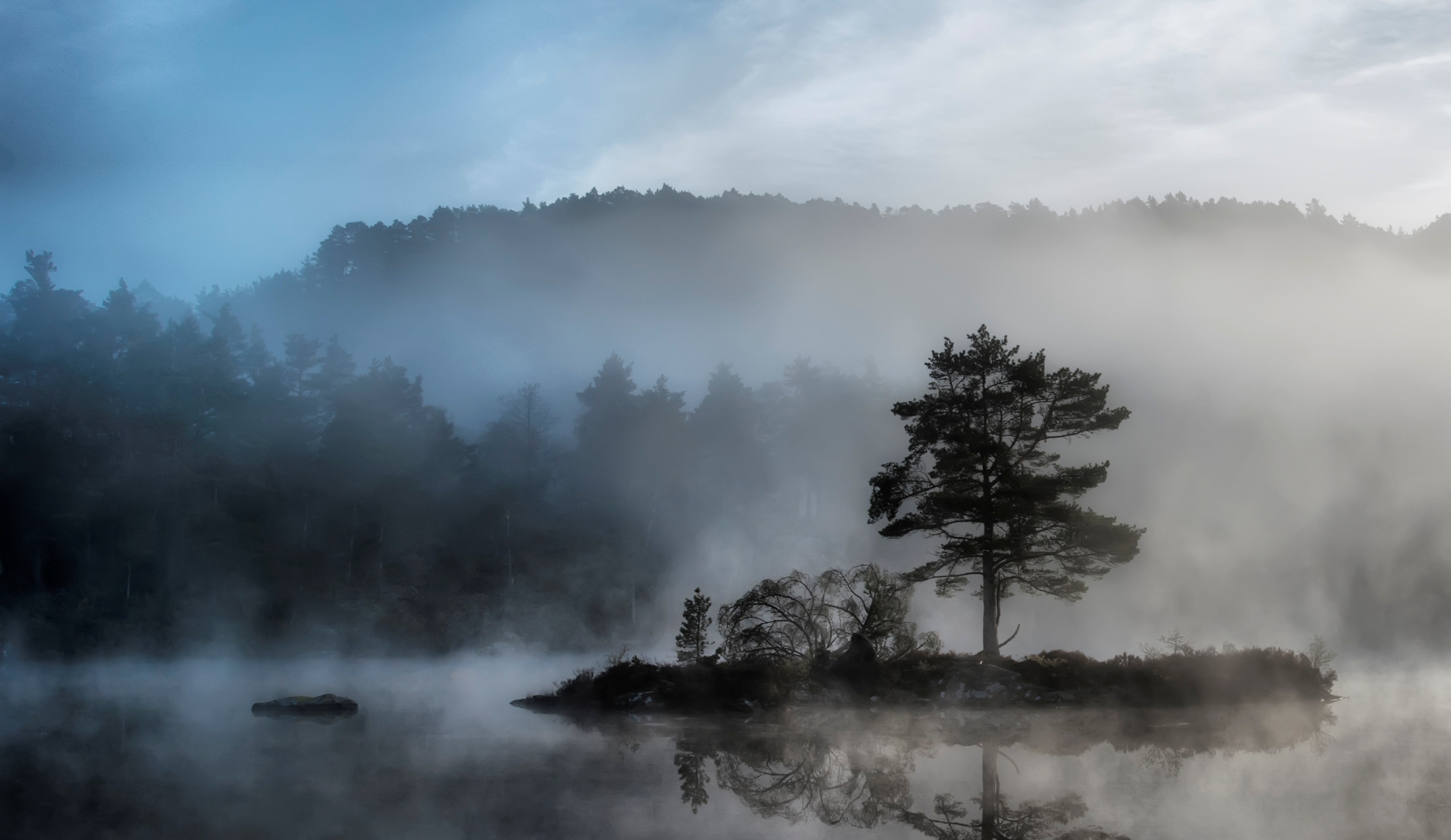 mysterious, nature, water, wood, tree, fog, island, basin, islet