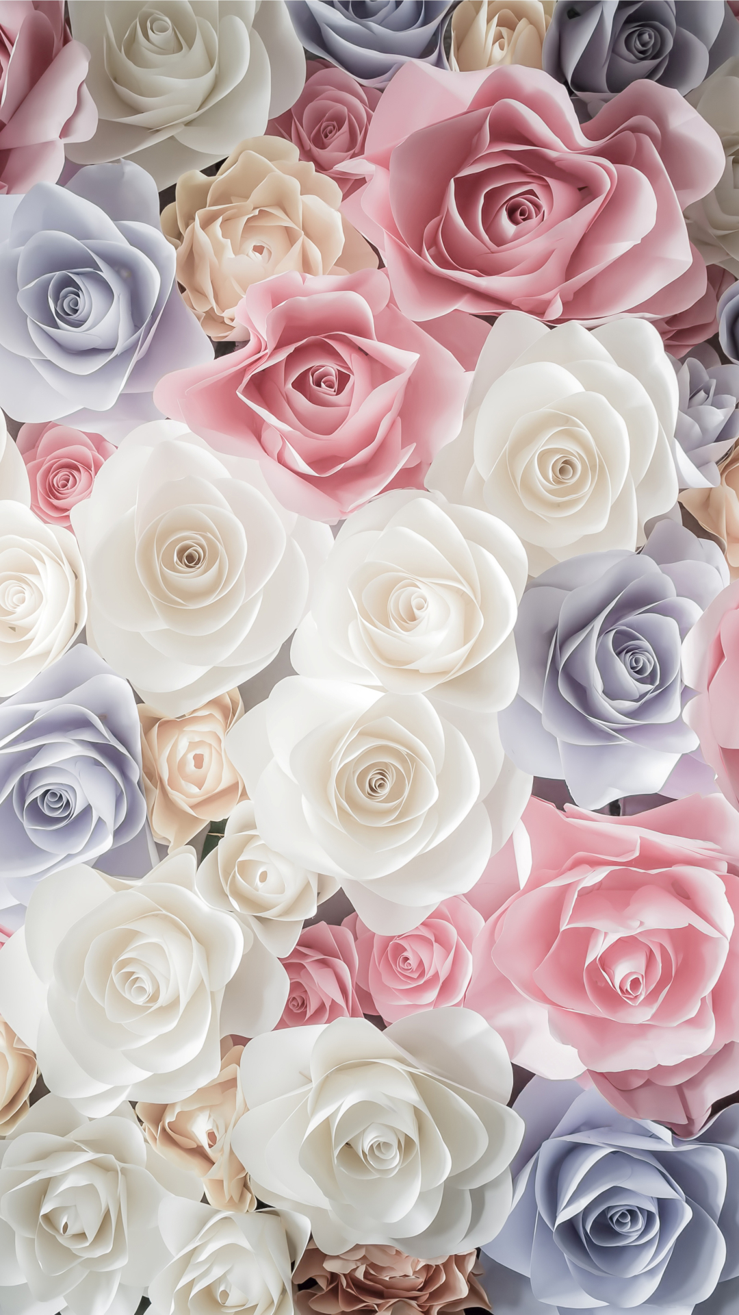 Download mobile wallpaper Flowers, Flower, Rose, Earth, White Flower, Pink Flower, Blue Flower for free.