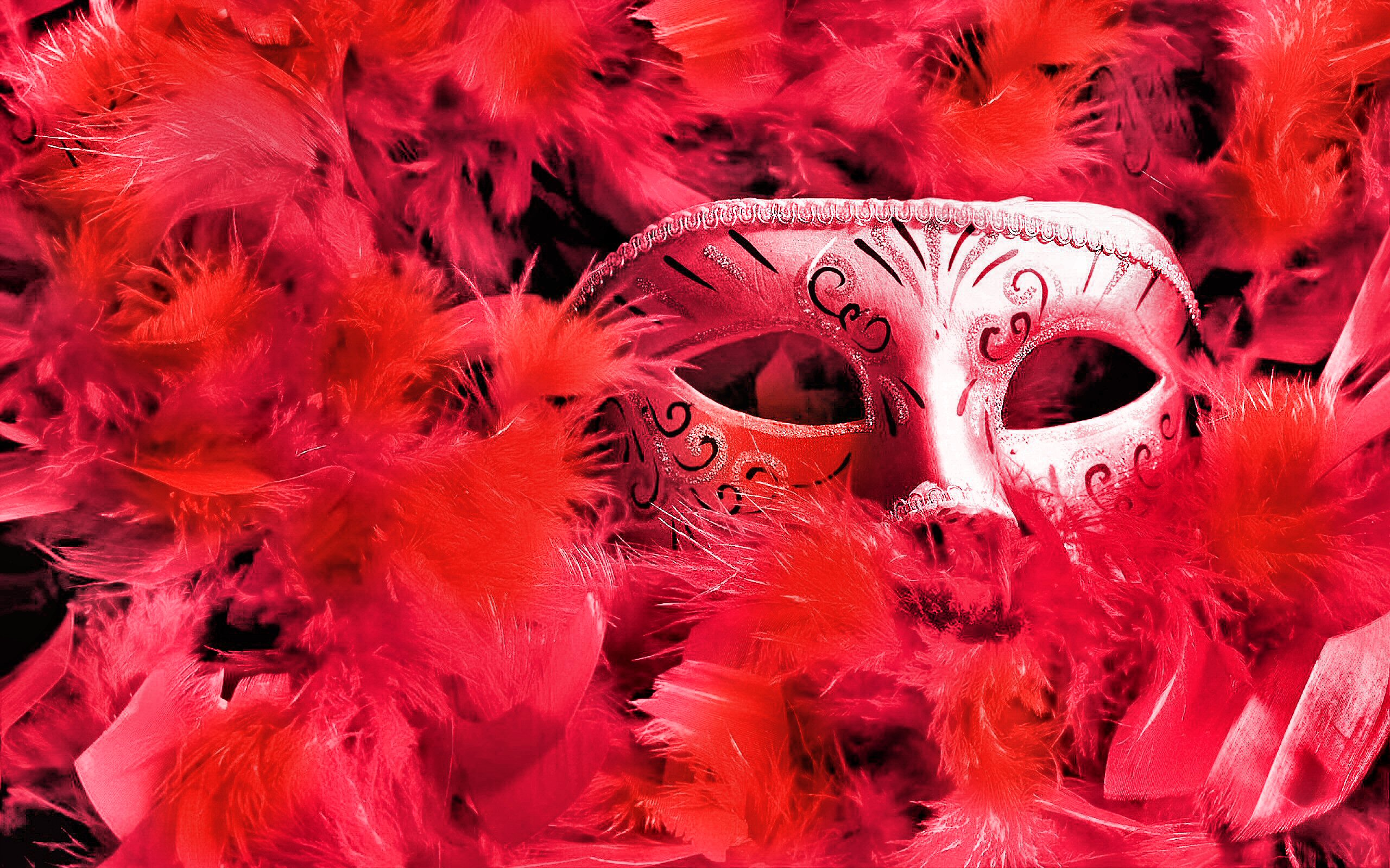 Download mobile wallpaper Feather, Mask, Photography for free.