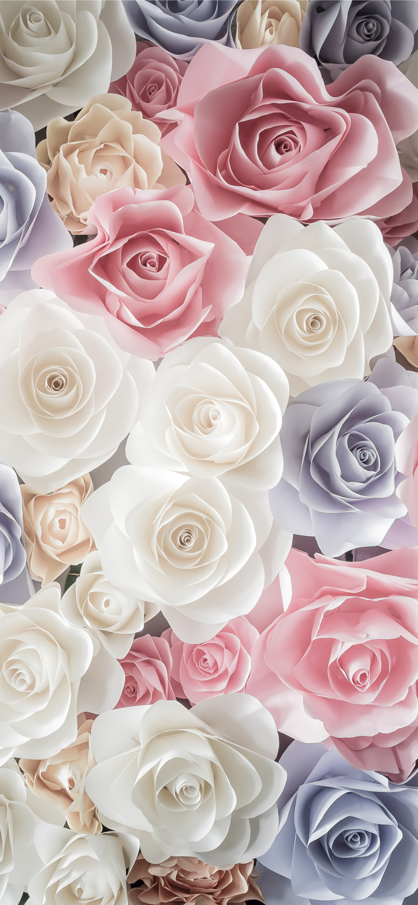 Скачать обои бесплатно Роза, Белый Цветок, Земля/природа, Розовый Цветок, Синий Цветок, Флауэрсы картинка на рабочий стол ПК