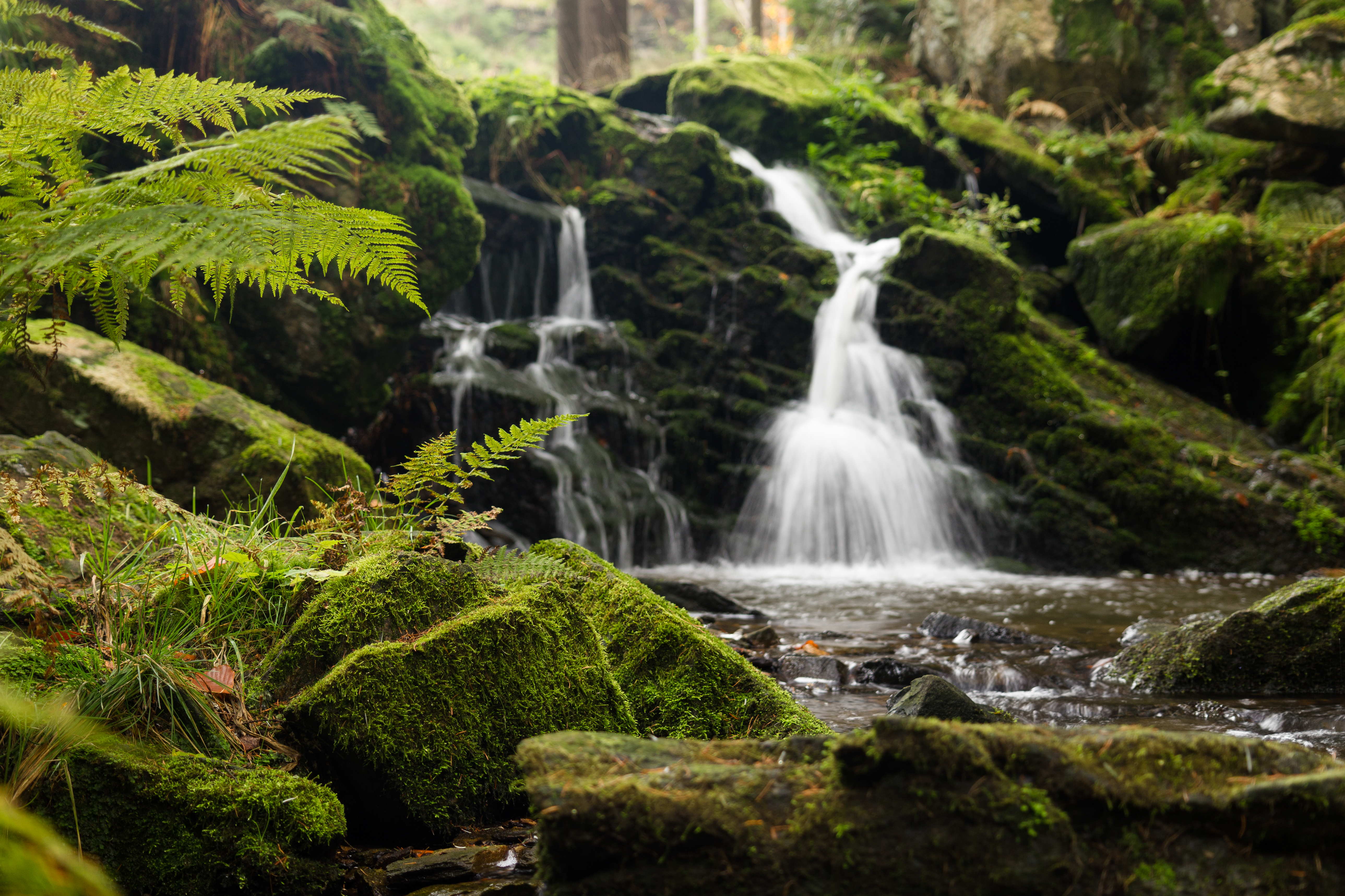 Free download wallpaper Water, Rocks, Waterfall, Moss, Nature, Fern on your PC desktop