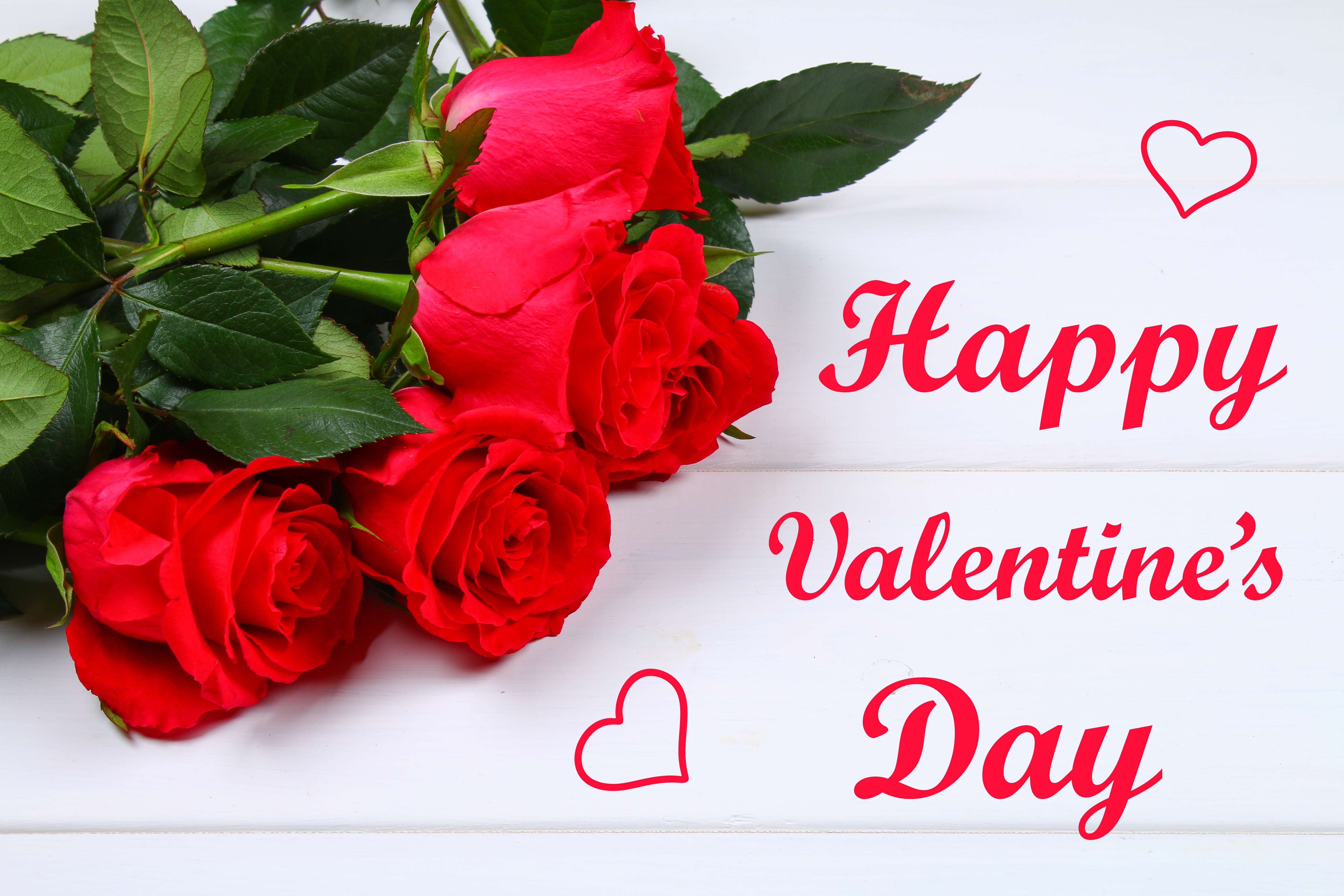 Download mobile wallpaper Valentine's Day, Flower, Rose, Holiday, Red Rose, Red Flower, Happy Valentine's Day for free.