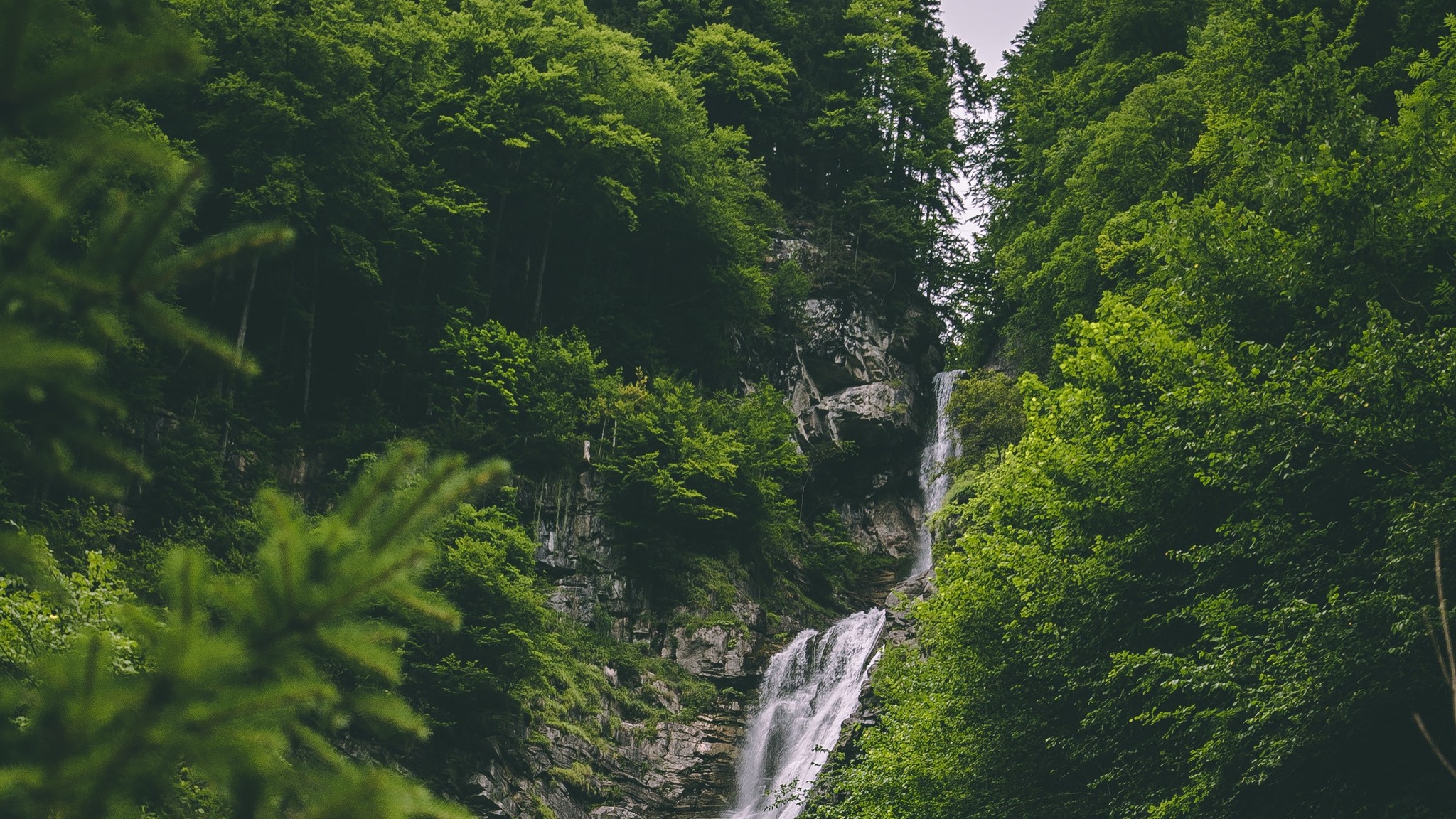 Handy-Wallpaper Natur, Wasserfall, Wald, Fotografie kostenlos herunterladen.