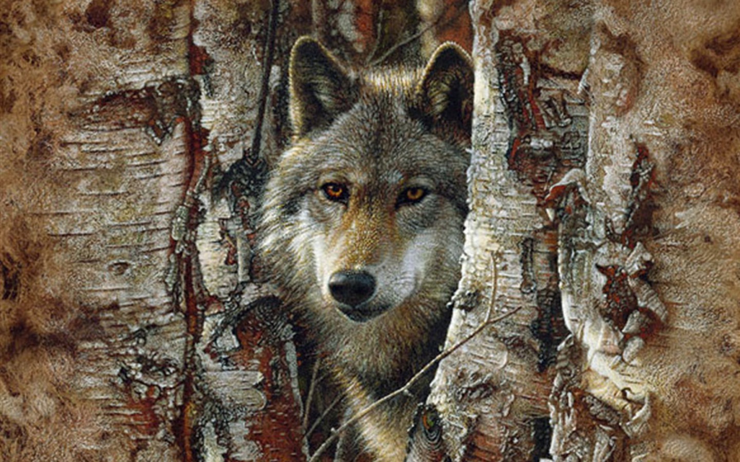 animal, wolf, close up, face, gray wolf, tree