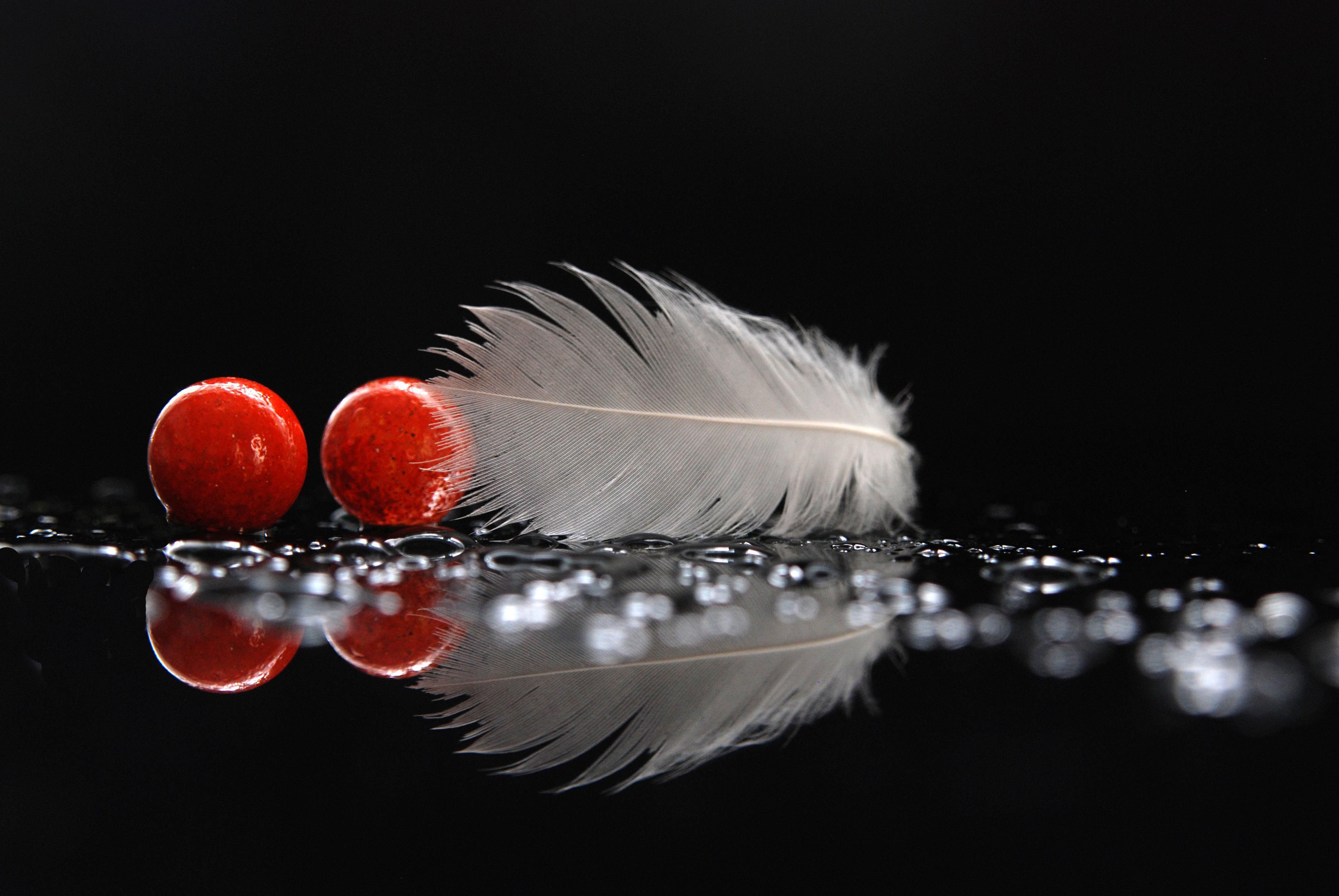 Download mobile wallpaper Feather, Reflection, Ball, Photography for free.