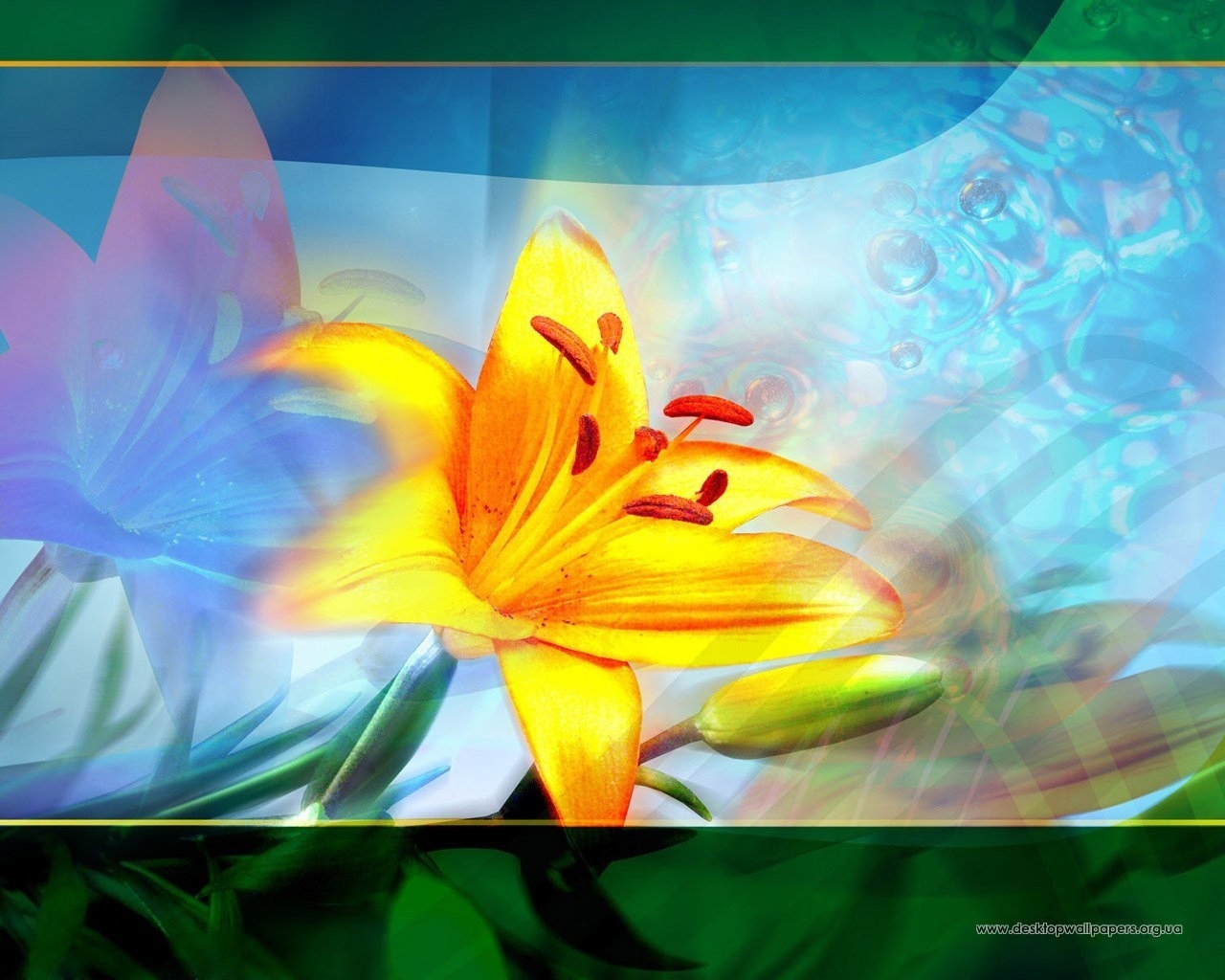 8233 Hintergrundbild herunterladen pflanzen, blumen, lilien - Bildschirmschoner und Bilder kostenlos