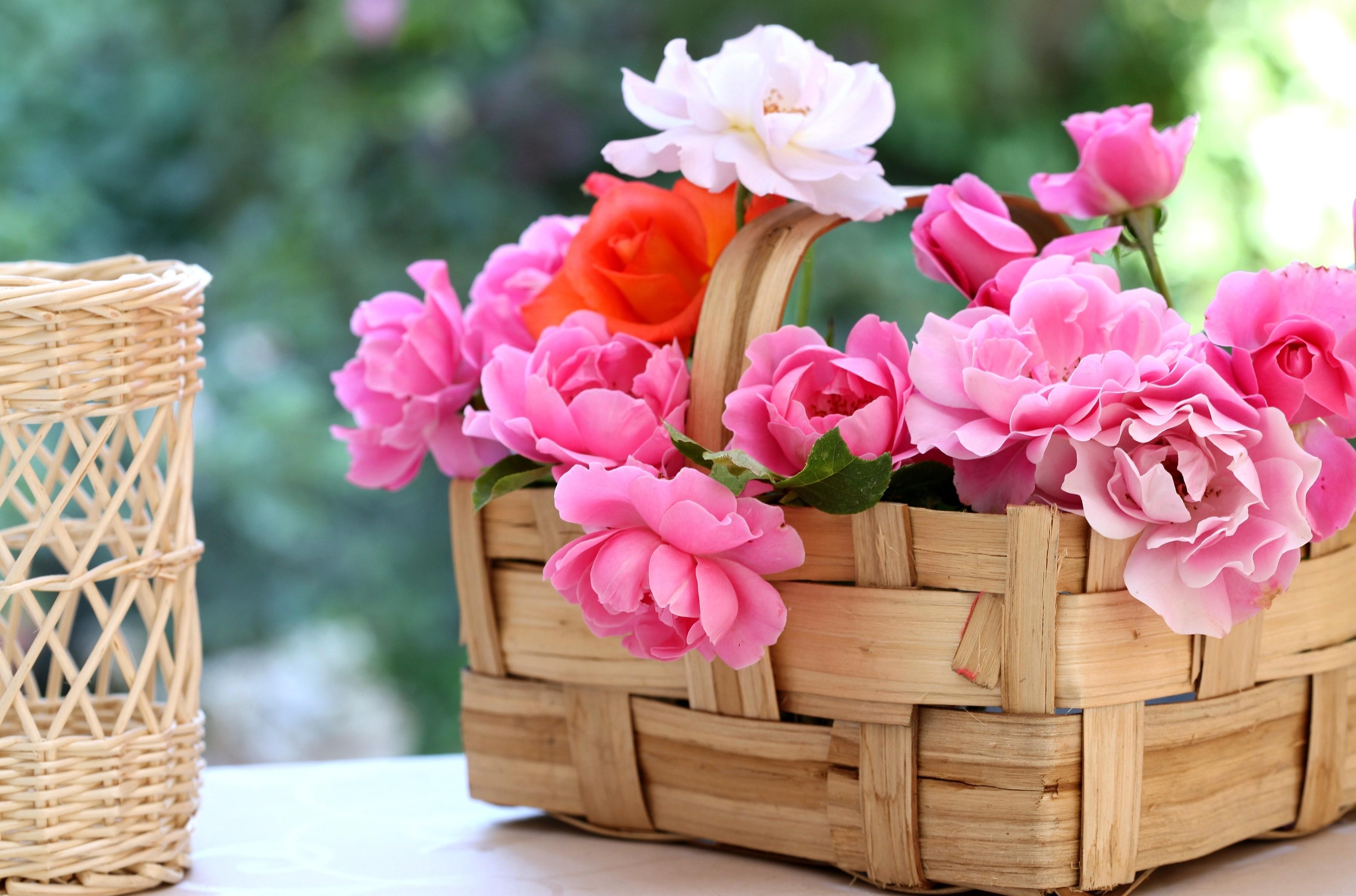 Download mobile wallpaper Basket, Flowers, Garden, Roses for free.