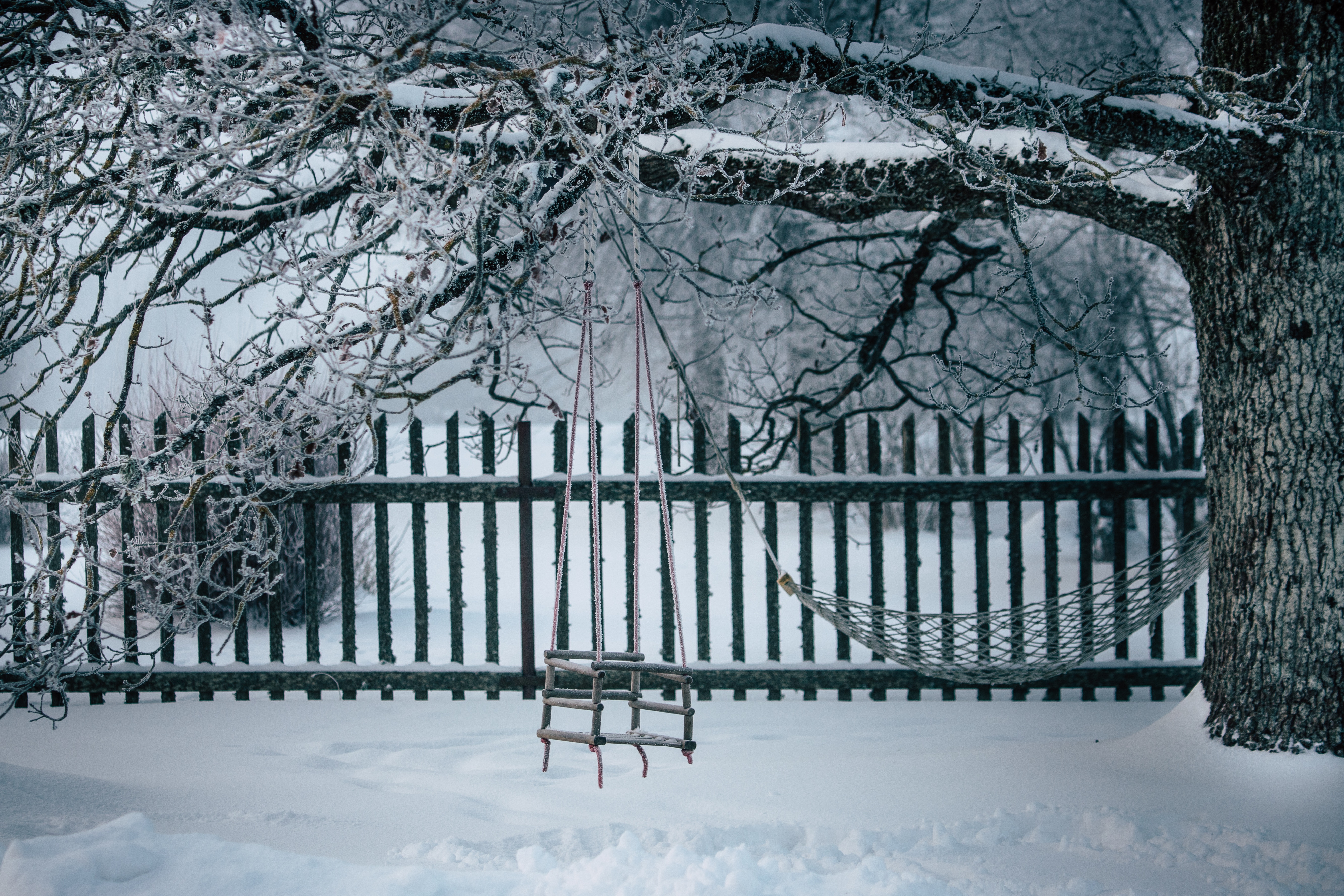 Free download wallpaper Winter, Nature, Wood, Tree, Branches, Snow, Swing on your PC desktop