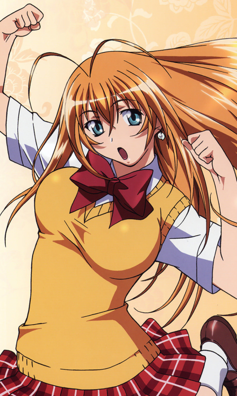 Download mobile wallpaper Anime, Ikki Tousen for free.