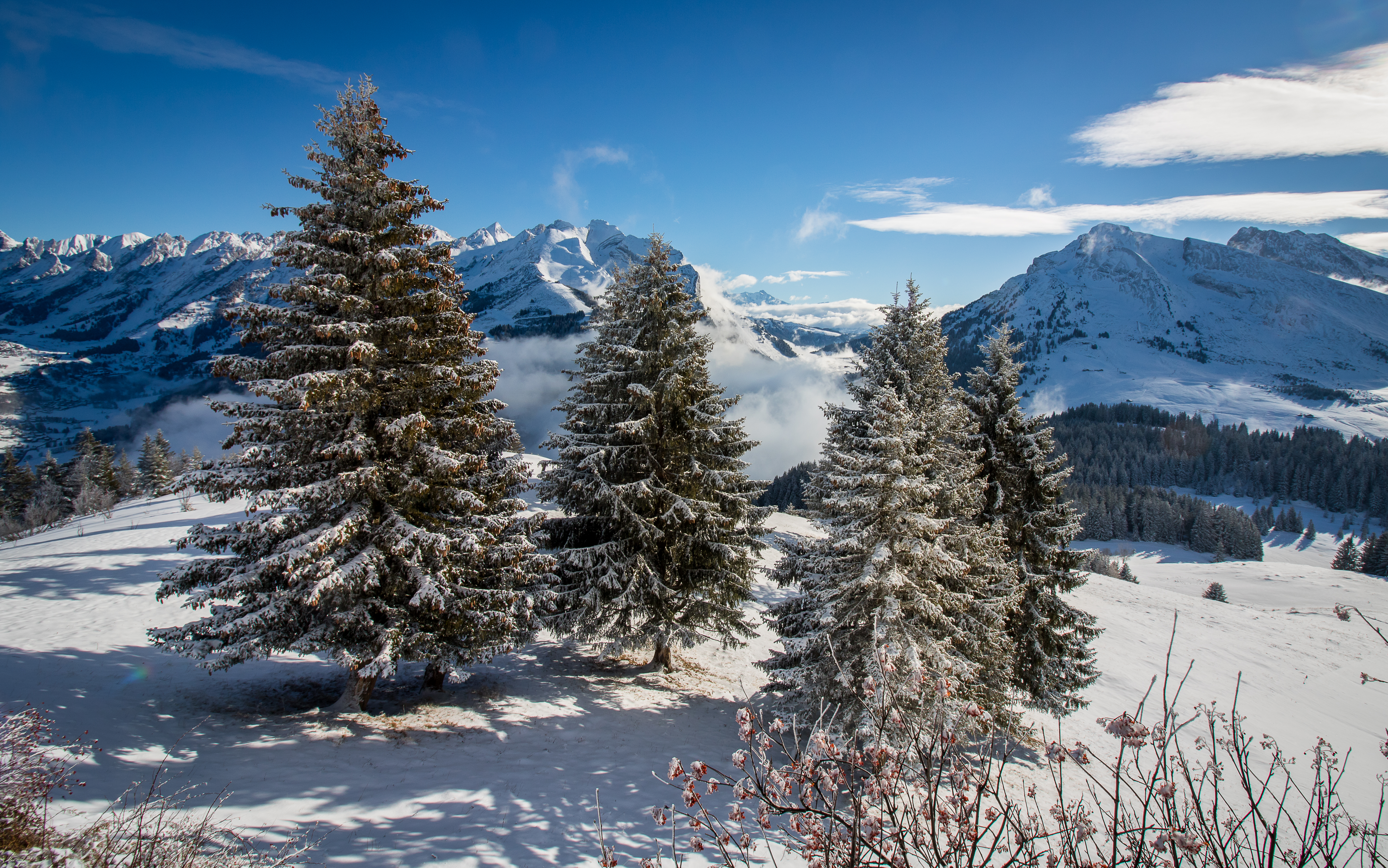 Free download wallpaper Fir, Nature, Snow, Spruce, Mountains on your PC desktop