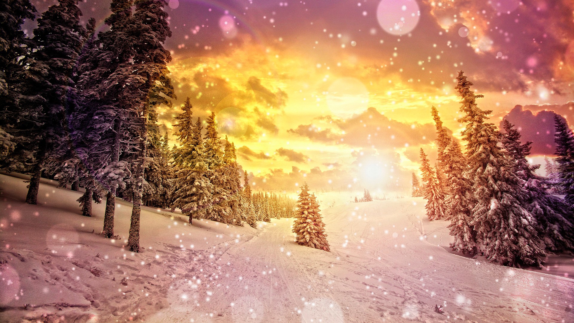 Download mobile wallpaper Winter, Earth for free.