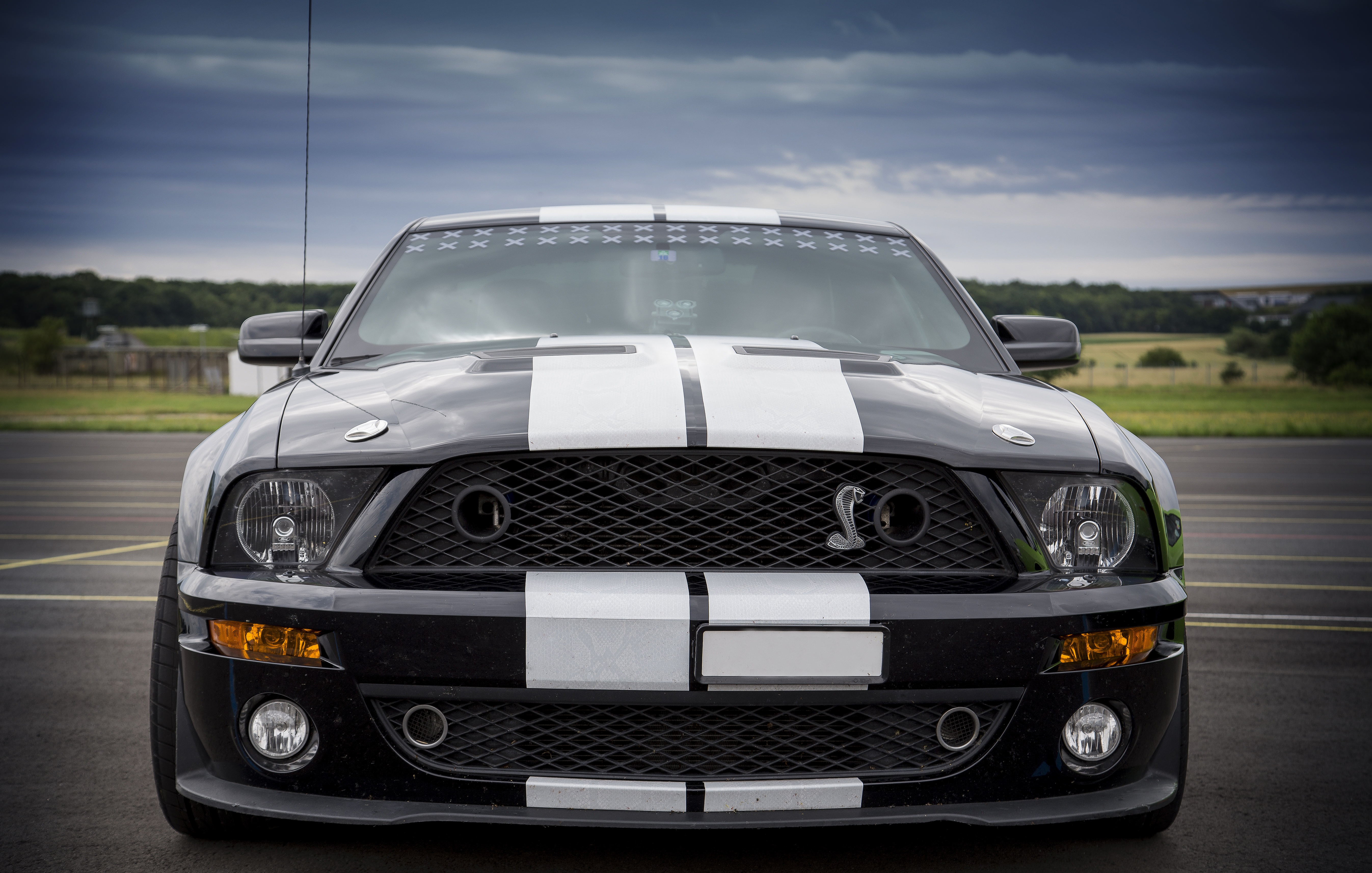 shelby, ford mustang, front view, car, sports, cars