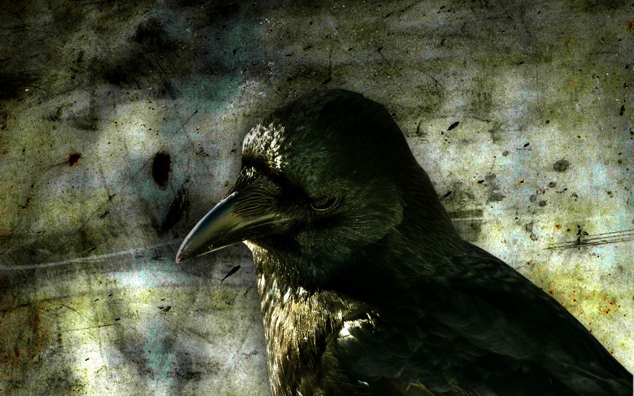 1447627 Bild herunterladen filme, the crow die krähe, vogel, krähe, rabe - Hintergrundbilder und Bildschirmschoner kostenlos