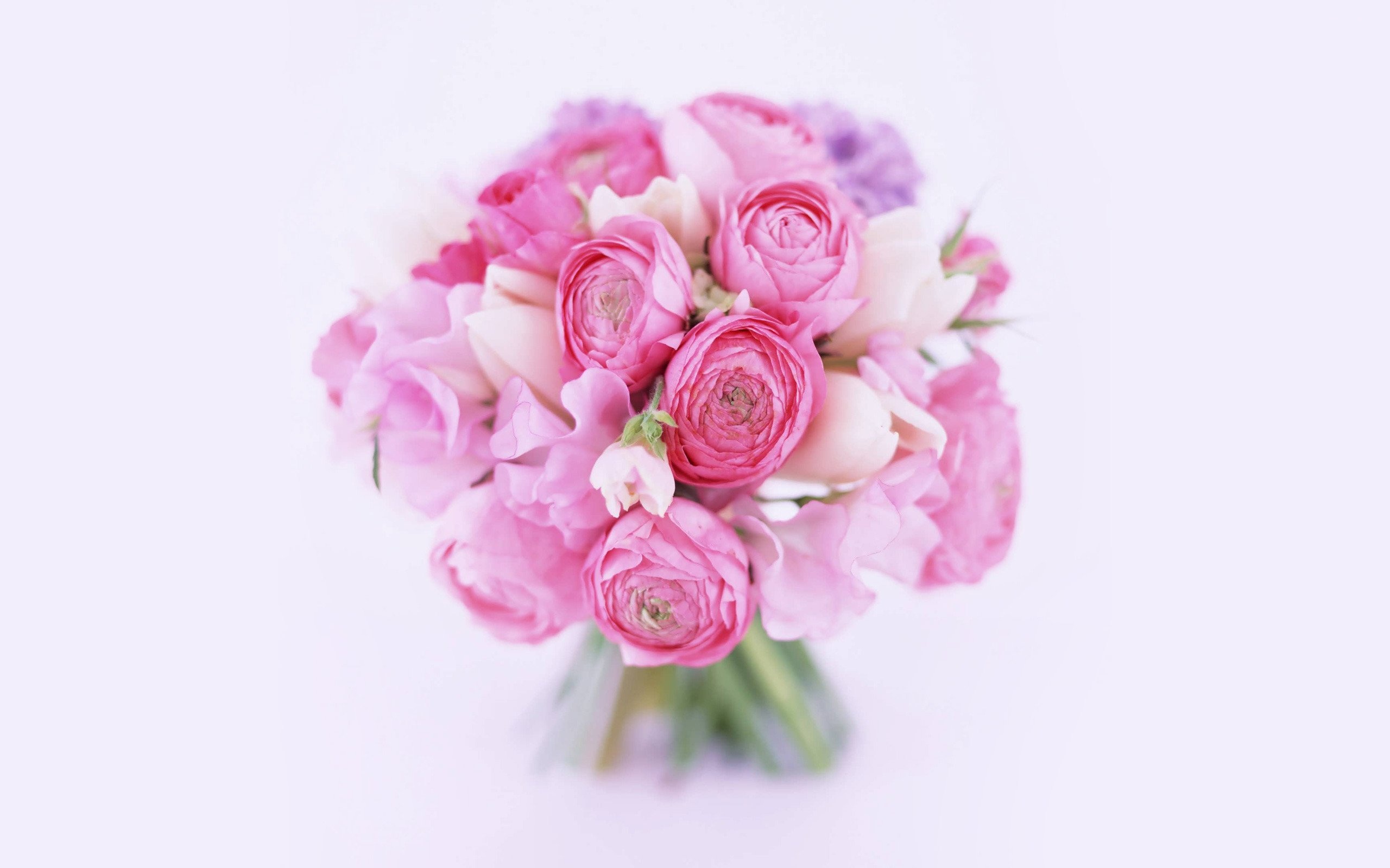 Baixe gratuitamente a imagem Rosas, Bouquets, Plantas, Flores na área de trabalho do seu PC