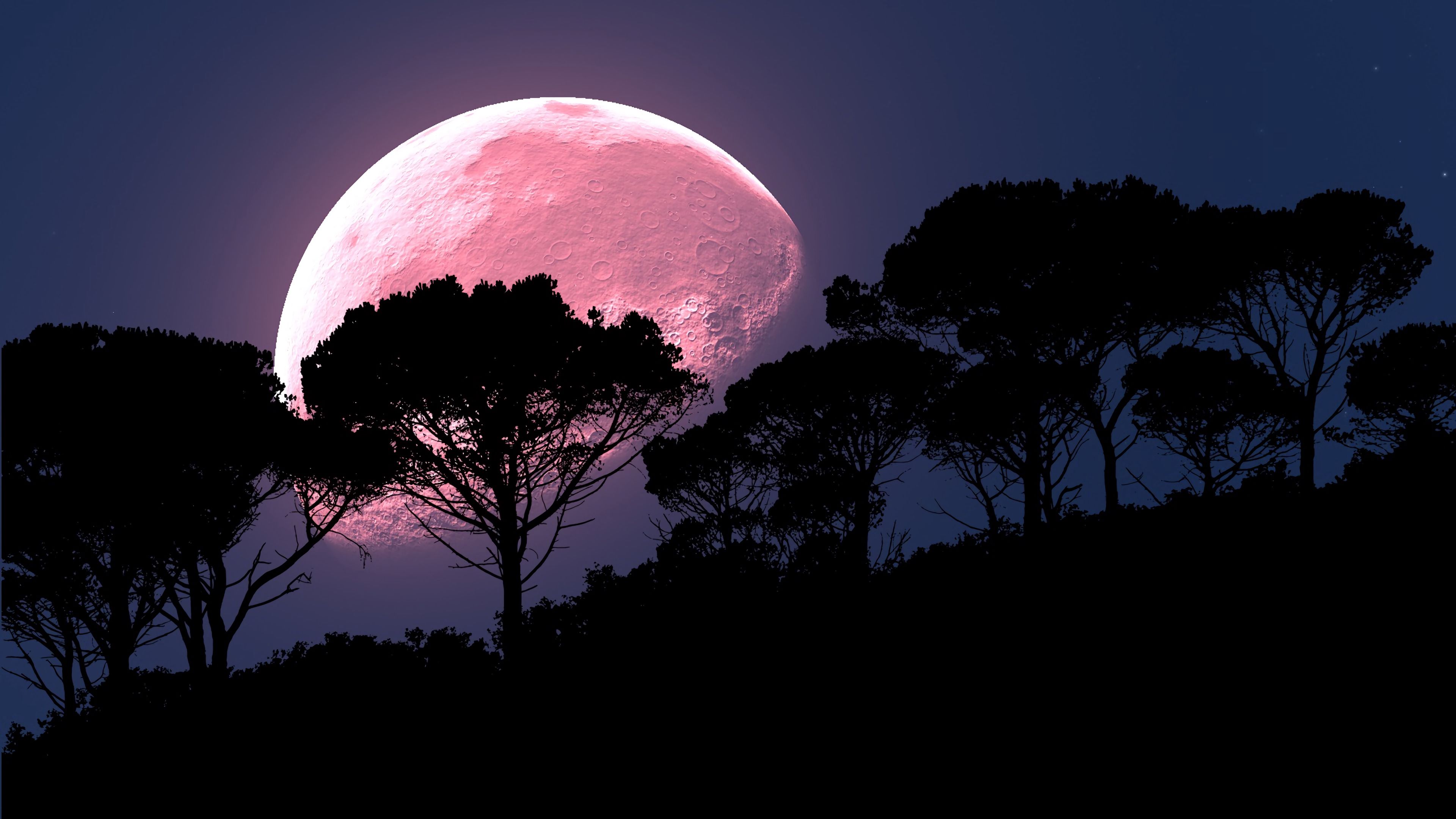 planet, full moon, night, moon, dark, wood, tree, photoshop Full HD