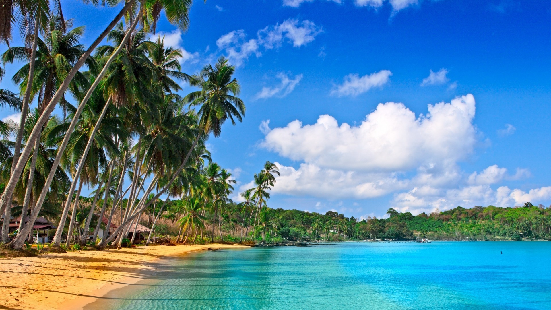 Laden Sie das Palms, Sea, Landschaft, Strand-Bild kostenlos auf Ihren PC-Desktop herunter