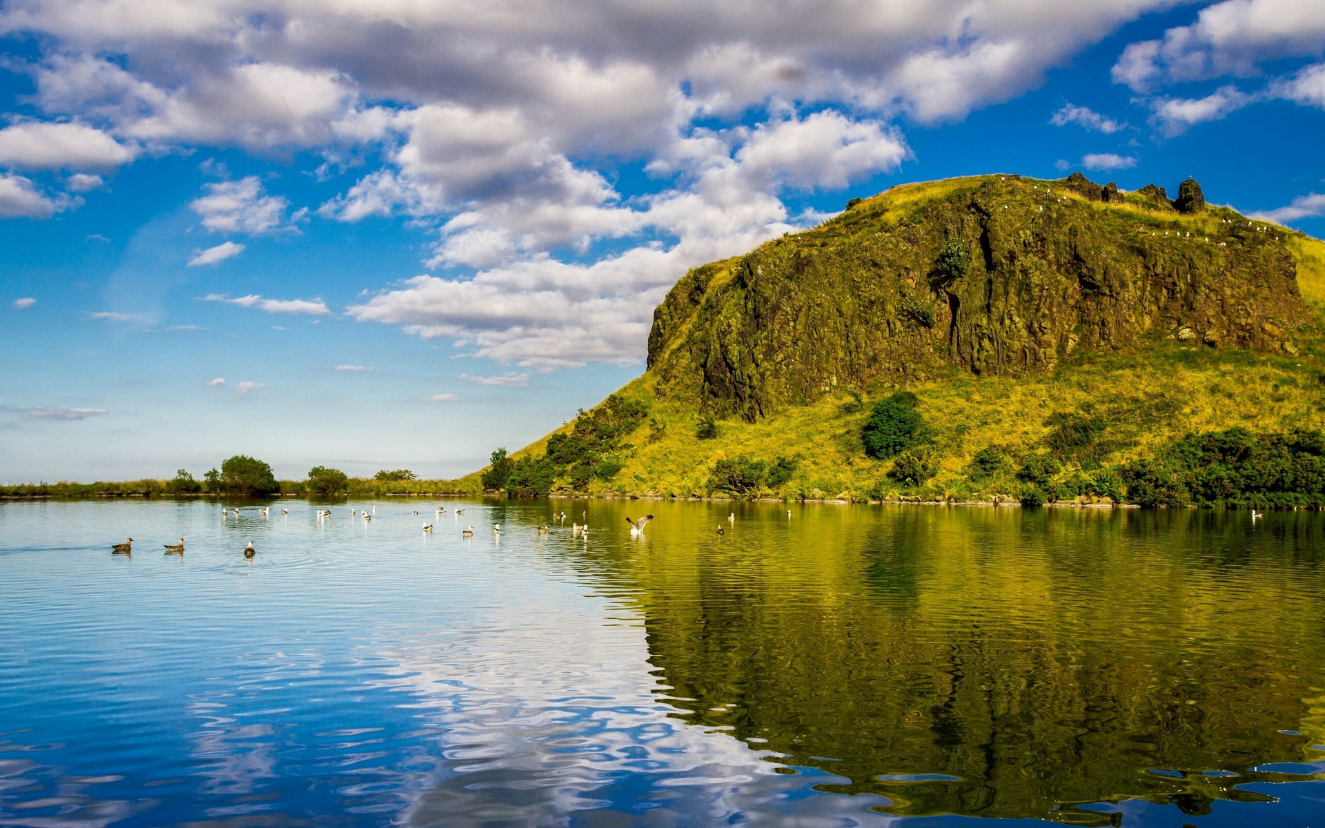 Descarga gratis la imagen Rio, Tierra/naturaleza en el escritorio de tu PC