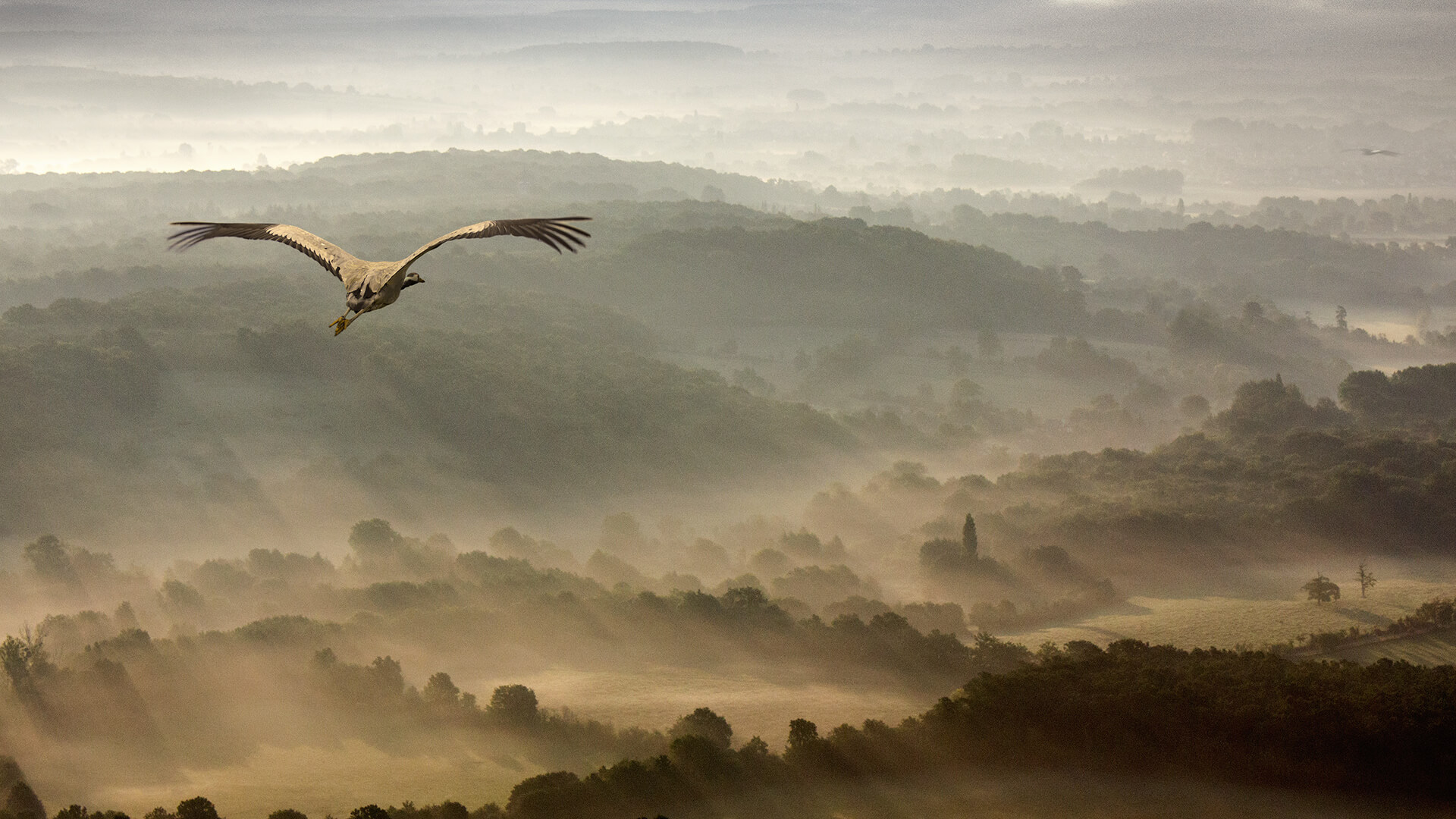 758640 Hintergrundbilder und Les Saisons Bilder auf dem Desktop. Laden Sie  Bildschirmschoner kostenlos auf den PC herunter