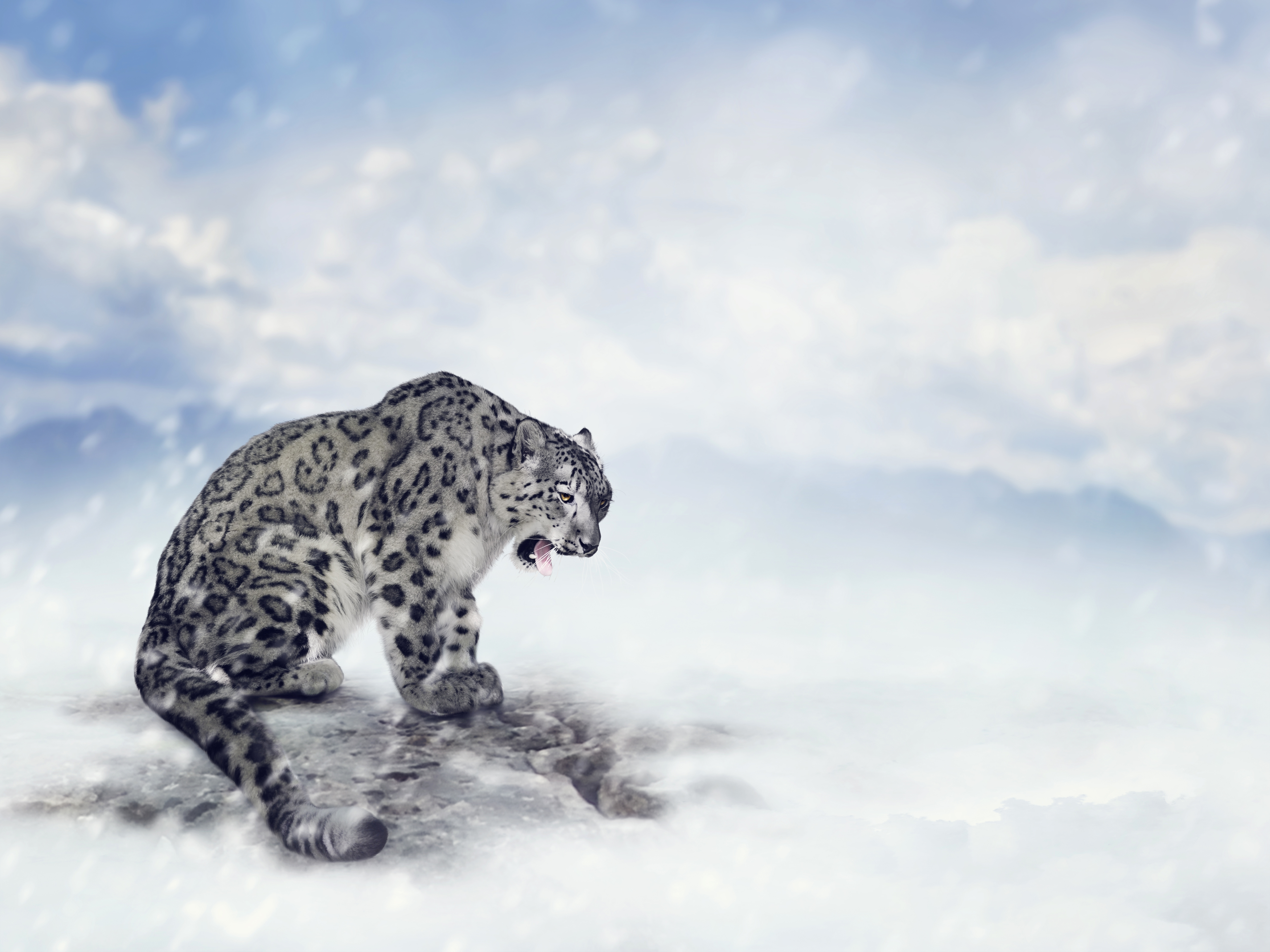 Free download wallpaper Cats, Snow Leopard, Animal, Snowfall on your PC desktop