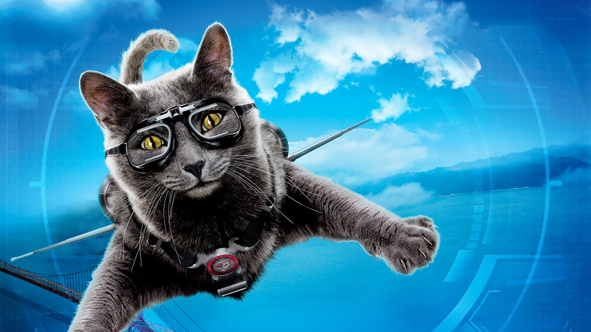 815579 Bild herunterladen filme, cats & dogs die rache der kitty kahlohr - Hintergrundbilder und Bildschirmschoner kostenlos