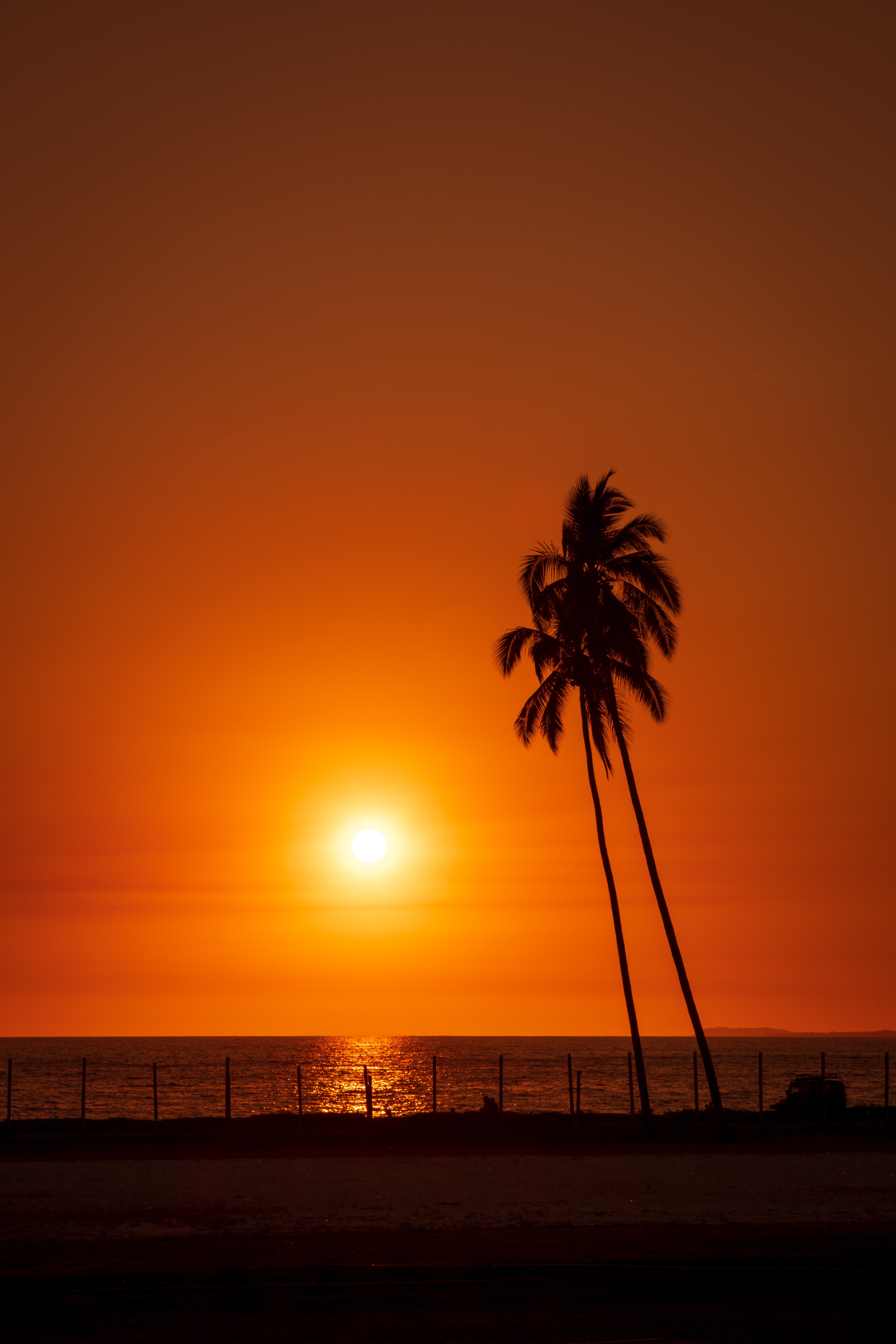 Download mobile wallpaper Sunset, Palms, Sun, Sea, Landscape, Dark for free.