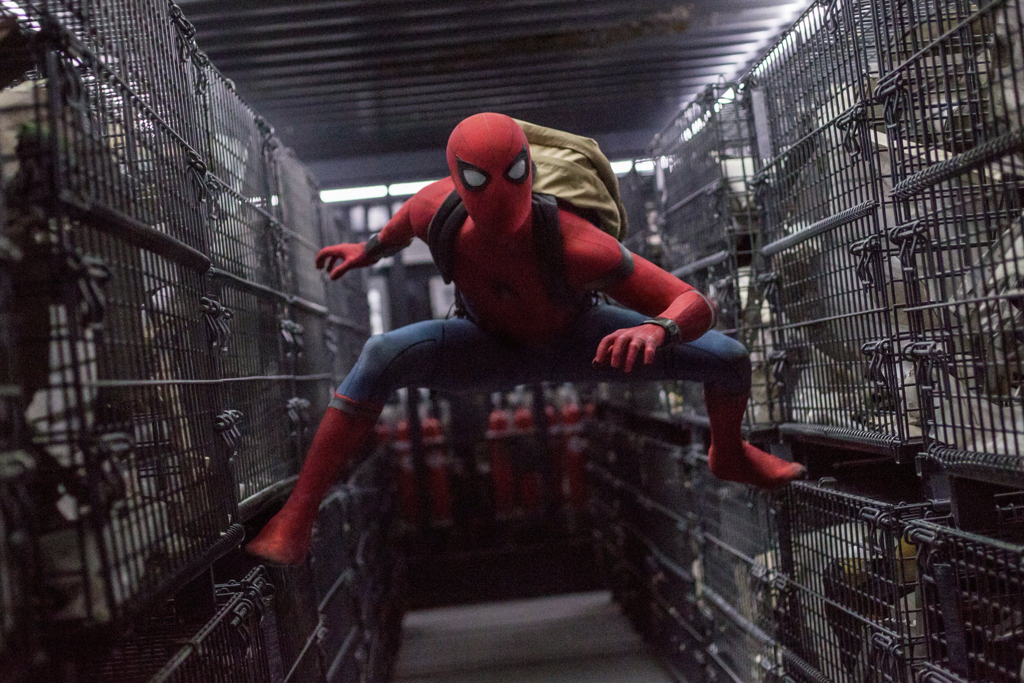 spider man, movie, spider man: homecoming