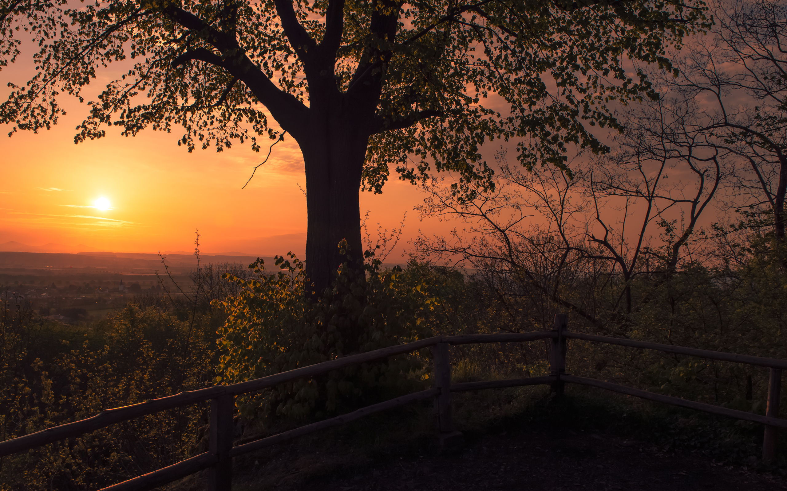 Laden Sie das Baum, Zaun, Sonnenuntergang, Erde/natur-Bild kostenlos auf Ihren PC-Desktop herunter