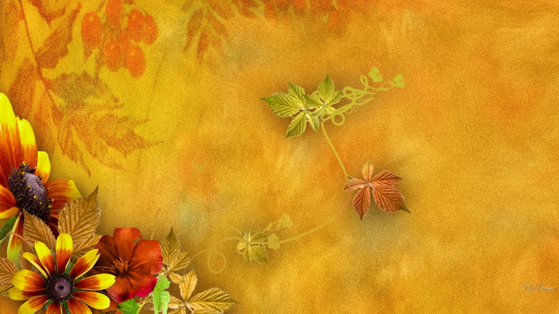Handy-Wallpaper Herbst, Blume, Blatt, Farben, Künstlerisch kostenlos herunterladen.