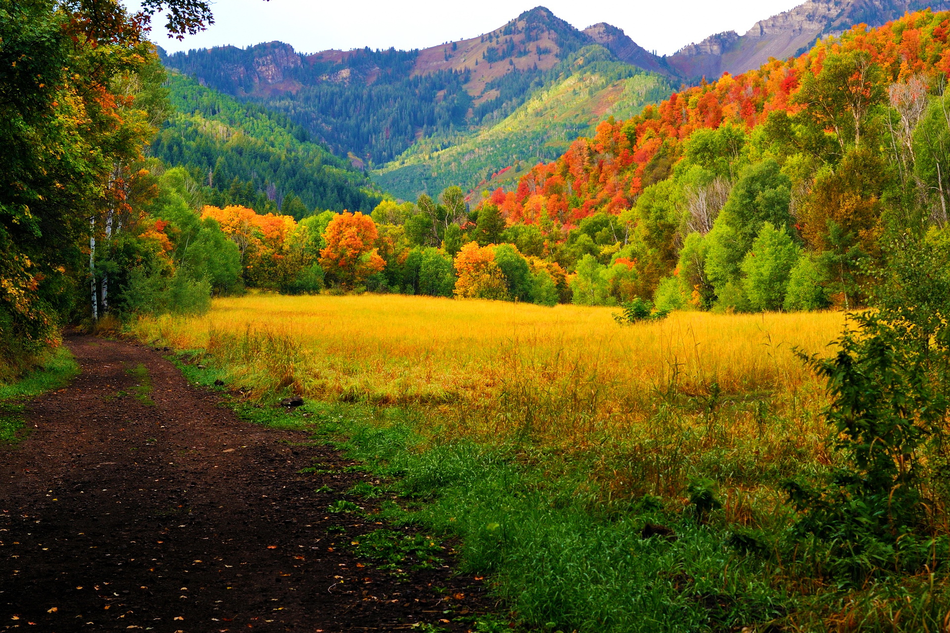 Скачать обои бесплатно Пейзаж, Осень, Дорога, Лес, Дерево, Земля/природа картинка на рабочий стол ПК
