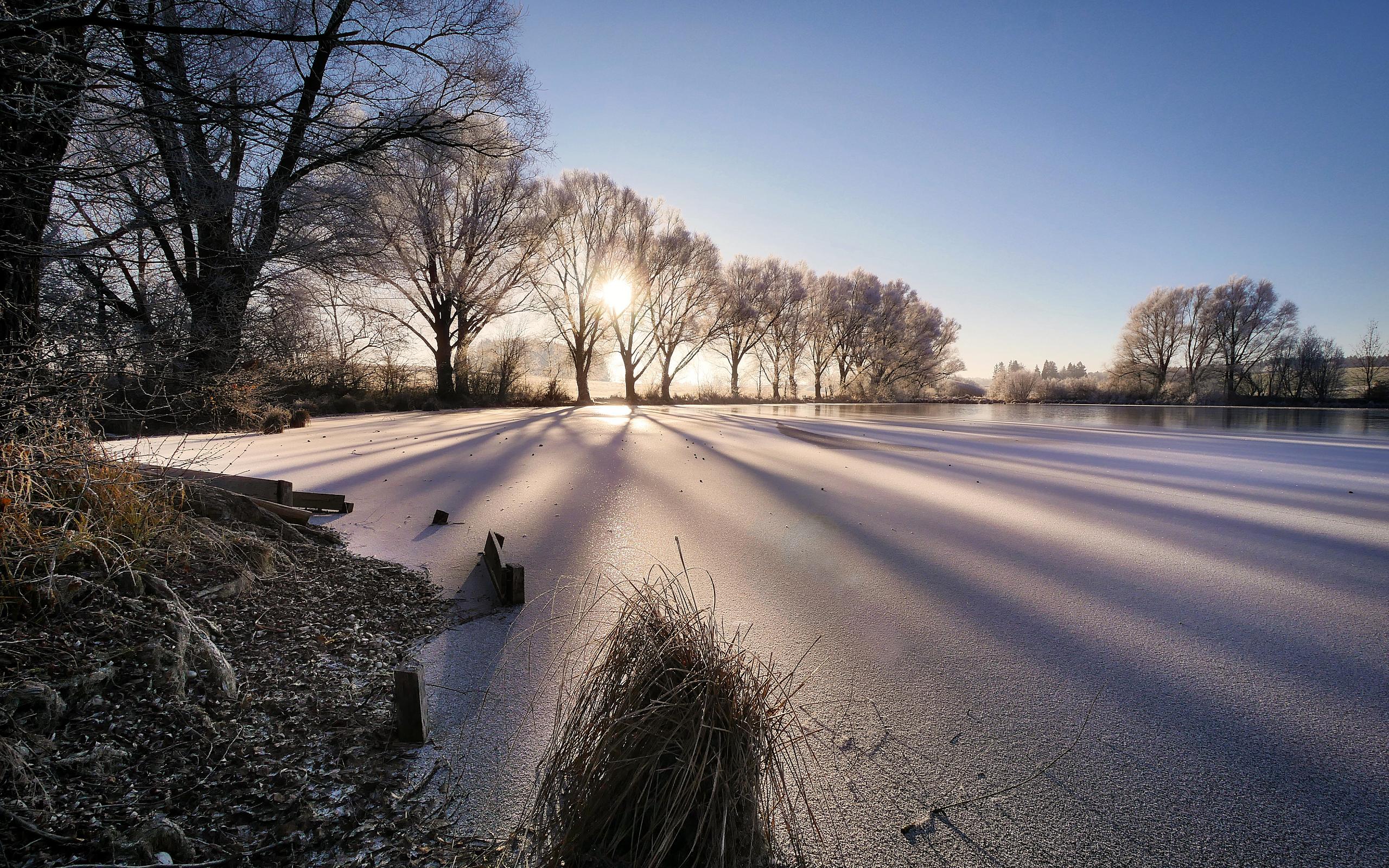 Baixe gratuitamente a imagem Inverno, Natureza, Sol, Gelo, Árvore, Terra/natureza na área de trabalho do seu PC