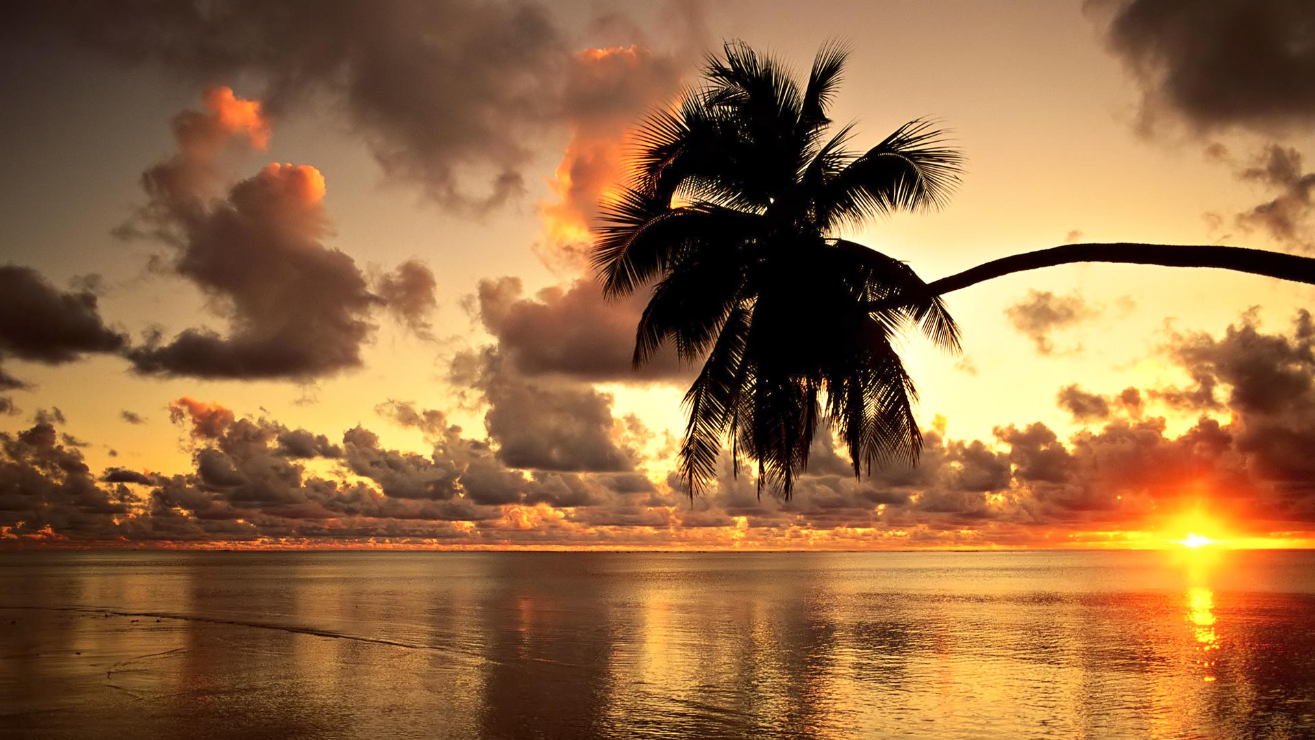 546108 завантажити картинку гаваї, пальма, земля, захід сонця, хмара, океан, дерево, тропічний, вода - шпалери і заставки безкоштовно