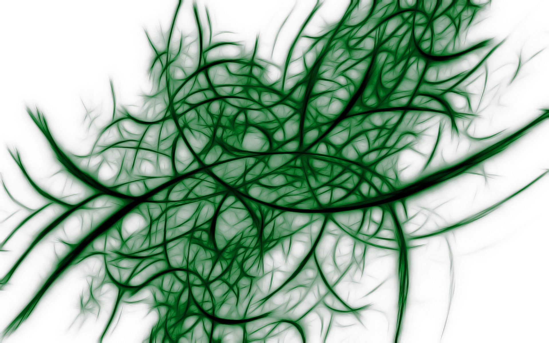 plexus, grid, abstract, shadow, seaweed, algae Full HD