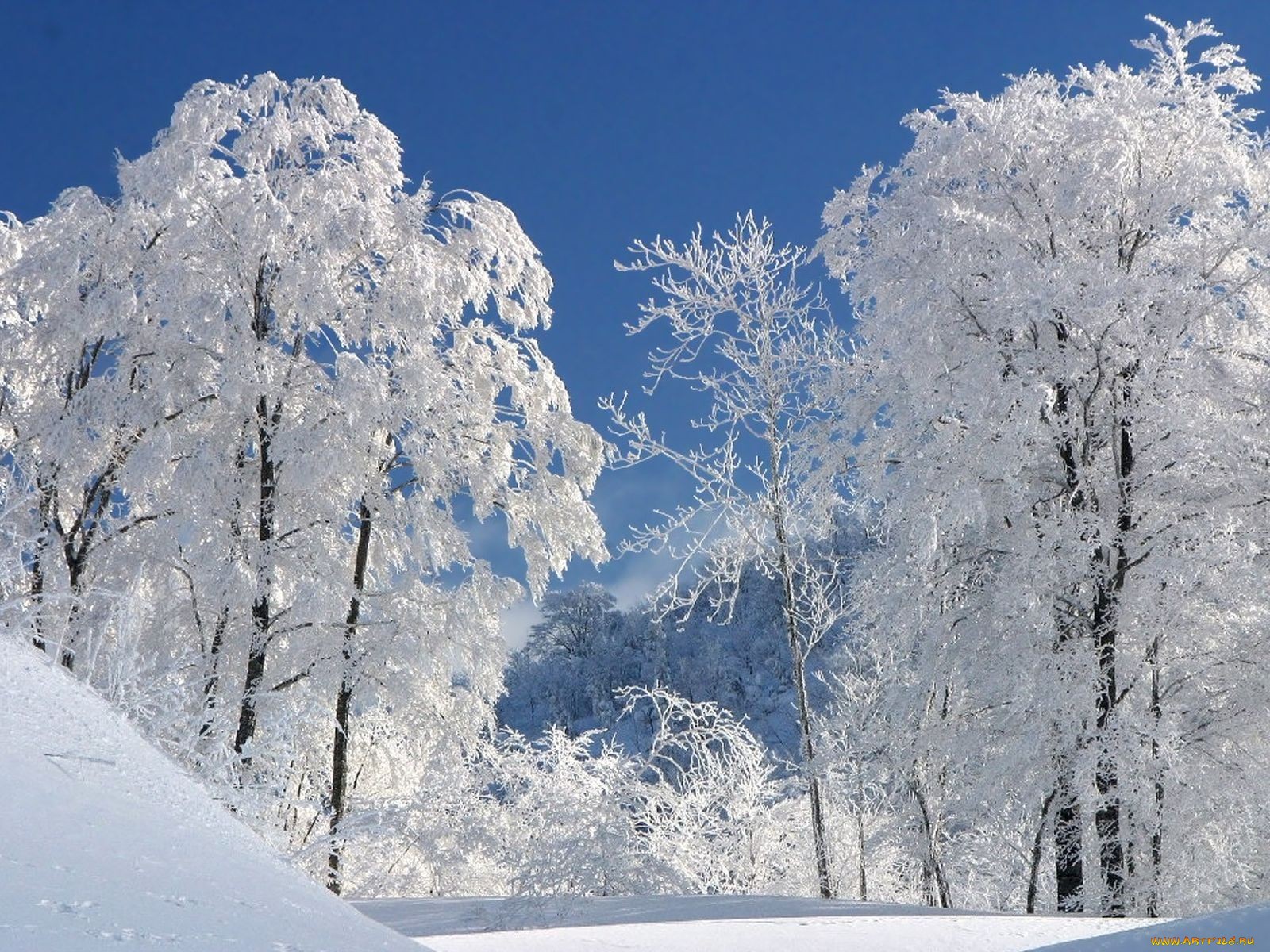 Handy-Wallpaper Winter, Erde/natur kostenlos herunterladen.