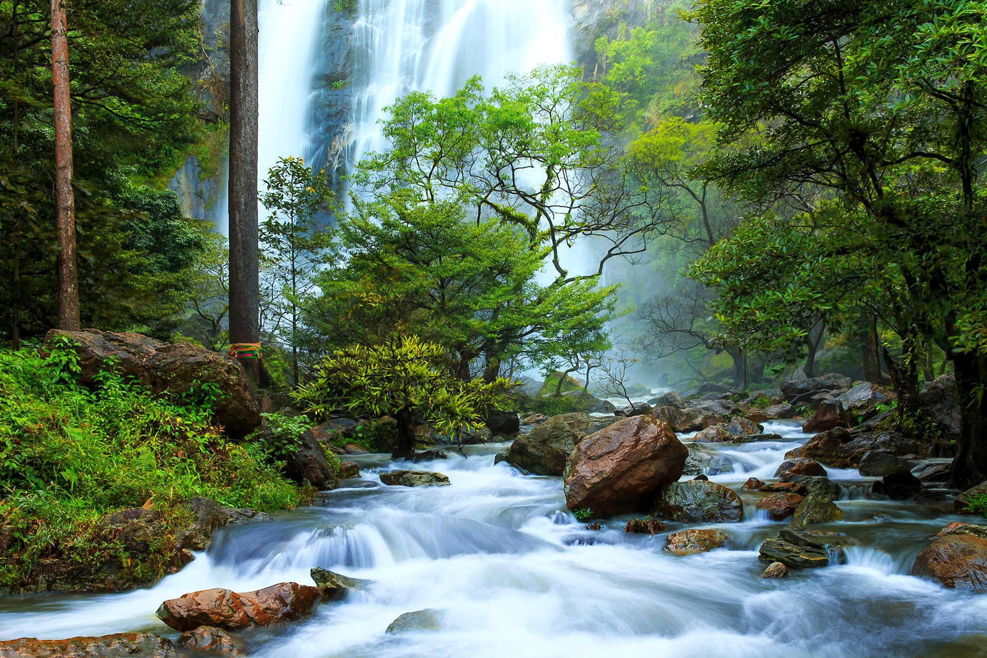 Download mobile wallpaper Nature, Waterfalls, Waterfall, Forest, Tree, Earth, Stream, River for free.