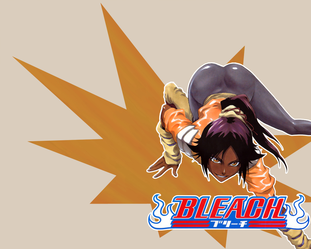 Free download wallpaper Anime, Bleach, Yoruichi Shihôin on your PC desktop