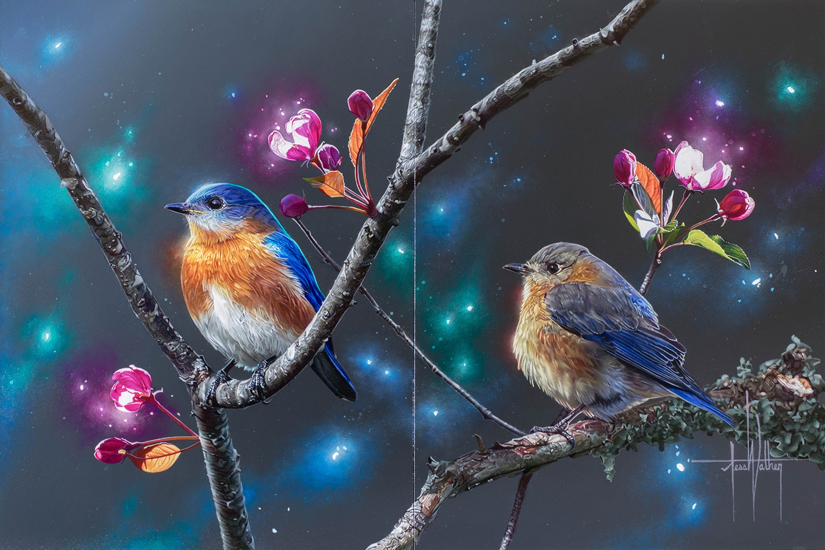 406814 скачать обои блестки, животные, синяя птица, птицы, восточная синяя птица, дерево - заставки и картинки бесплатно