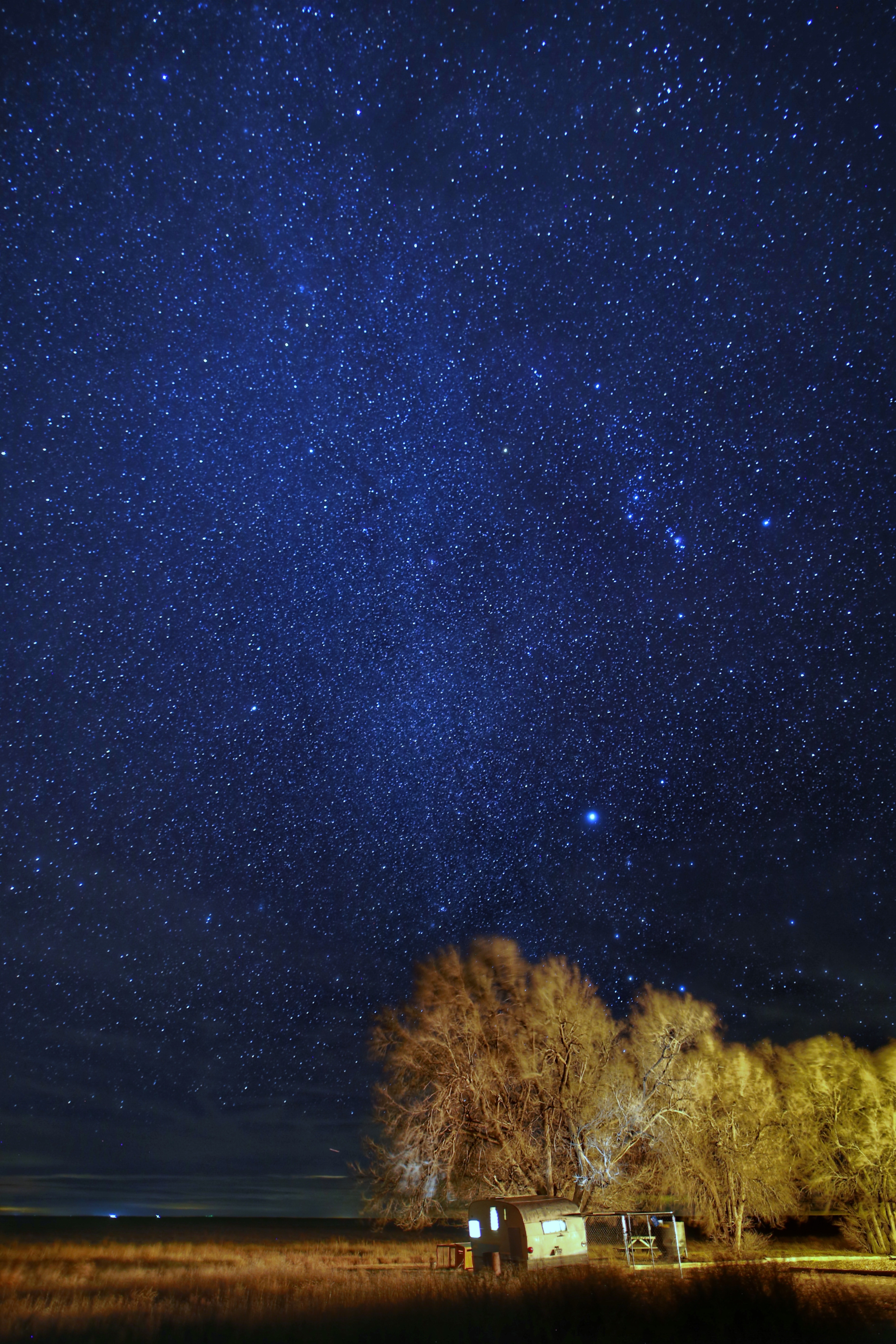 Descarga gratuita de fondo de pantalla para móvil de Naturaleza, Árboles, Oscuridad, Estrellas, Noche, Cielo Estrellado.
