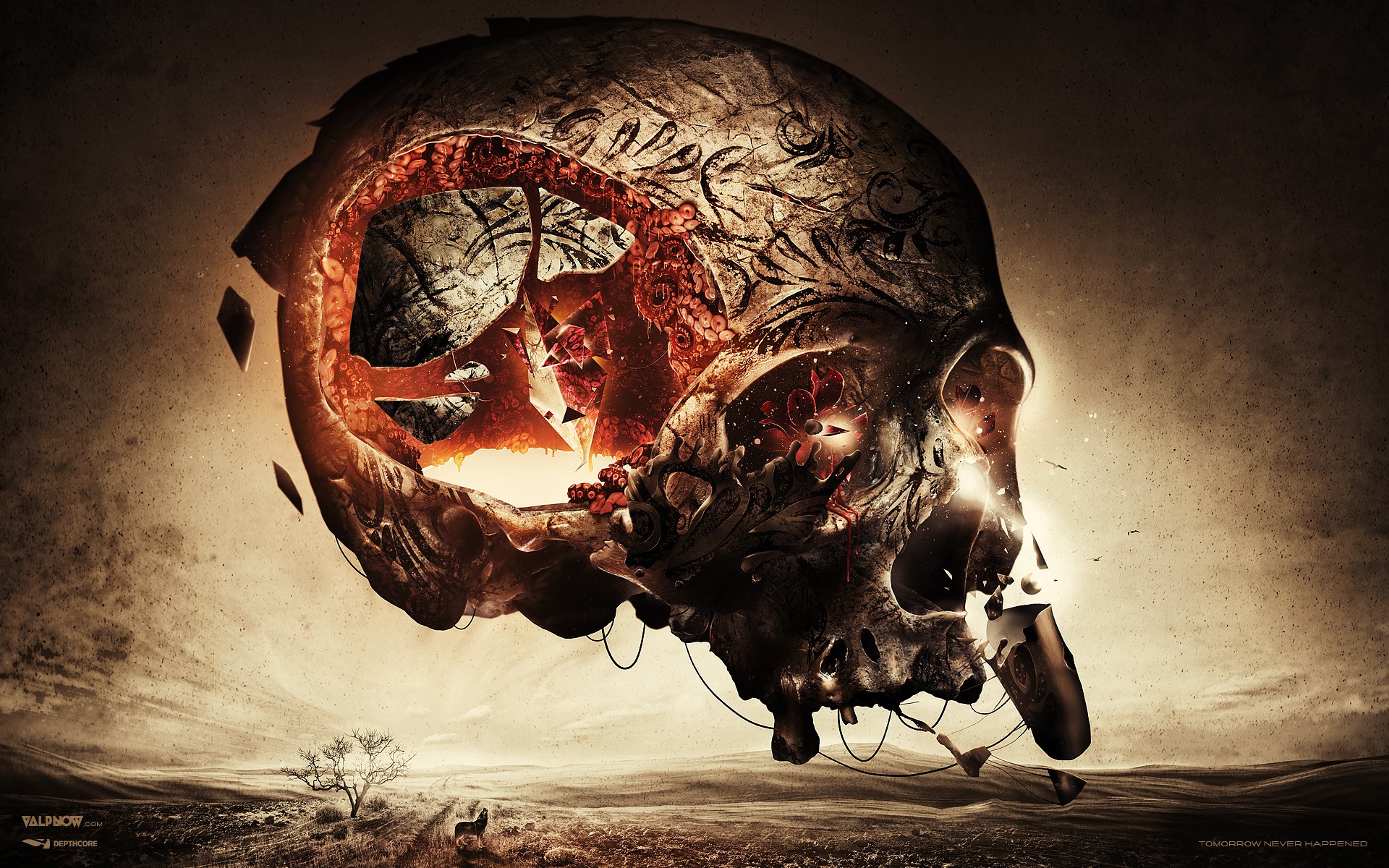 Free download wallpaper Dark, Skull on your PC desktop