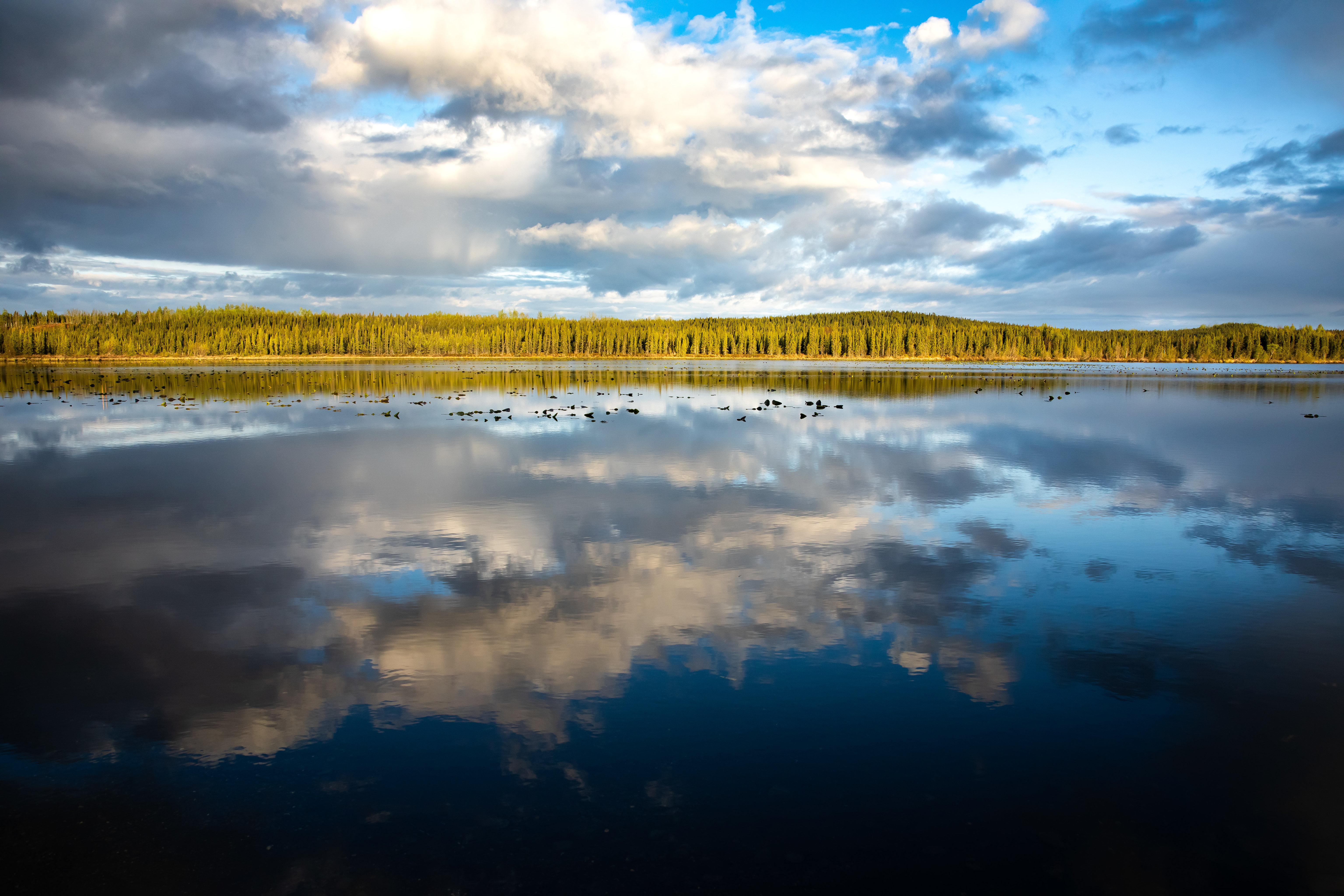 Download mobile wallpaper Reflection, Miscellanea, Miscellaneous, Trees, Lake, Forest for free.